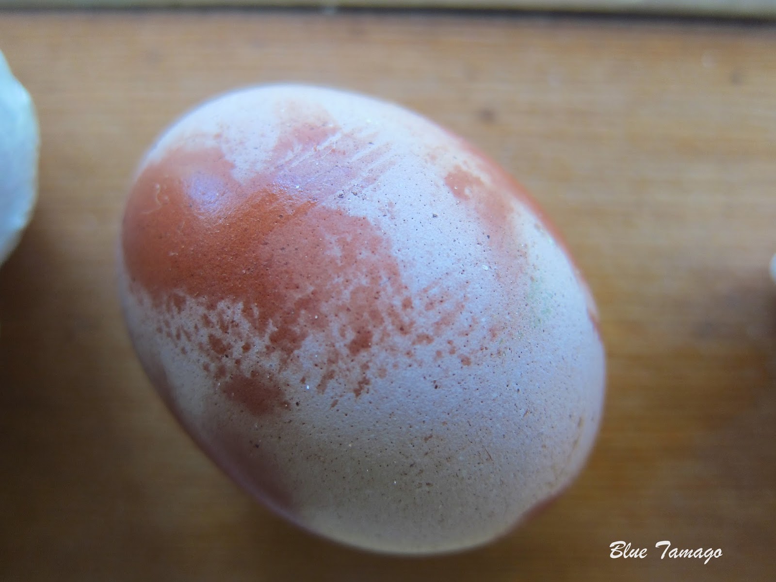 Egg cuticles The outermost layer of the eggshell