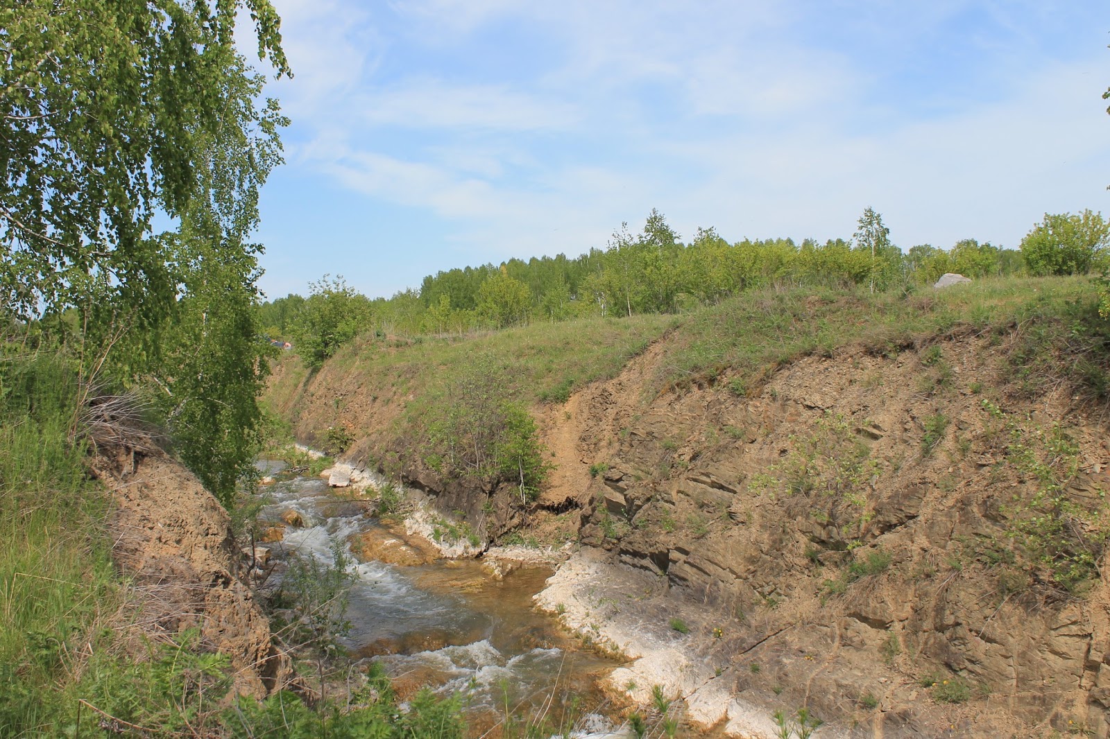 зиминская средняя средняя школа ребрихинского района. инской беловское водохранилище. беловский алтайский край. беловский алтайский край.