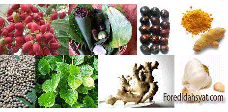 foredi obat ejakulasi dini obat tahan lama foredi surabaya foredi gell foredi makassar foredi jakarta foredi bandung foredi gasa foredi di apotik foredi medan foredi semarang foredi kapsul foredi pekanbaru foredi palembang foredi obat foredi batam foredi bekasi foredi palsu foredi adalah foredi sidoarjo foredi dan gasa foredi dr boyke foredi apotik foredi asli foredi asli dan palsu foredi apotik jakarta foredi abe foredi aceh foredi aman foredi atau hajar jahanam foredi apotik bandung foredi apakah aman foredi adalah obat foredi apotik k 24 semarang foredi apotik semarang foredi apotik k24 bandung foredi apotik k24 surabaya foredi asli atau palsu foredi apotik cirebon foredi aman untuk oral foredi apotik k24 jogja foredi bekasi timur foredi bengkulu foredi bandung apotik foredi banjarmasin foredi bogor foredi bali foredi bengkulu kota bengkulu bengkulu foredi bukalapak foredi blitar foredi banda aceh foredi bekasi barat foredi bikin kebas foredi bahaya foredi bojonegoro foredi berbahaya foredi bagus gak foredi balikpapan foredi cikarang foredi cibitung foredi cirebon foredi ciamis foredi cilegon foredi cilacap foredi cianjur foredi cara pemakaian foredi ciputat foredi cibinong foredi cibubur foredi cair foredi cara kerja foredi cod bekasi foredi cod semarang foredi cimahi foredi.co foredi cod foredi denpasar foredi di apotik kimia farma foredi di bandung foredi di malang foredi di pekanbaru foredi di bali foredi depok foredi di gresik foredi di alfamart foredi di duri foredi dijual di apotik foredi di surabaya foredi di denpasar foredi di makassar foredi duri foredi di jember foredi di solo foredi efek samping foredi ejakulasi dini foredi eceran foredi eceran jakarta foredi eceran surabaya foredi ejakulasi foredi eceran bogor foredi eceran jogja foredi ecer surabaya harga foredi eceran jual foredi eceran jual foredi eceran jakarta jual foredi eceran bandung foredi gel eceran foredi mengatasi ejakulasi dini jual foredi eceran di jakarta foredi atasi ejakulasi dini foredi mengobati ejakulasi dini agen foredi enrekang penjual foredi eceran foredi fungsi fungsi foredi gel foredi gel foredi gasa dan ladyfem foredi gel kaskus foredi gel makassar foredi gel di apotik foredi gel jogja foredi gel pekanbaru foredi gel untuk apa foredi gel vs hajar jahanam foredi gunungkidul foredi gel di semarang foredi gel surabaya foredi gel bukalapak foredi gel lampung foredi gasa tangerang selatan kota tangerang selatan banten foredi gel di apotik denpasar foredi gel di bandung foredi garut foredi gel lazada foredi herbal foredi harga foredi herbal dr boyke foredi harganya berapa foredi harga promo foredi hermanto foredi harga murah foredi hotel makassar foredi harapan indah foredi halal foredi herbalindo foredi henry foredi hangat harga foredi di apotik harga foredi gel di apotik harga foredi dan gasa harga foredi gel dan gasa harga foredi 2014 harga foredi 2015 foredi indramayu foredi itu apa foredi indonesia foredi indomaret foredi indralaya isi foredi iklan foredi indikasi foredi iklan foredi gel apakah foredi itu beli foredi istri puas foredi di indomaret apakah foredi itu aman toko foredi indramayu agen foredi indralaya apa itu foredi gel apa itu foredi gasa 1 box foredi isi berapa foredi jakarta selatan foredi jambi foredi jayapura foredi jakarta utara foredi jember foredi jakarta pusat foredi jombang foredi jakarta timur foredi jababeka foredi jakarta barat foredi jual foredi jelly foredi jogja foredi jogja apotik foredi jual di apotik foredi jepara foredi yogyakarta foredi jawa timur foredi kaskus foredi karawang foredi kuningan foredi kendari foredi kediri foredi komposisi foredi kebumen foredi k24 foredi kemasan botol foredi klaten foredi kelapa gading foredi kimia farma foredi kudus foredi khasiat foredi kupang foredi kota malang foredi kendal foredi kota kediri foredi kaltim foredi lampung foredi lazada foredi lombok foredi lumajang foredi lamongan foredi lubuklinggau foredi lippo cikarang foredi lhokseumawe foredi lampung tengah foredi linggau foredi lawang foredi lahat foredi lani legalitas foredi lokasi foredi jakarta foredi tahan lama foredi bandar lampung agen foredi lamongan foredi vs licengsui agen foredi lombok foredi madiun foredi malang foredi manado foredi memperbesar alat vital foredi mojokerto foredi magelang foredi majalengka foredi mataram foredi malang foredi gel malang jual foredi malang jawa timur 65121 foredi manfaat foredi medan apotik foredi murah foredi madiun kota madiun jawa timur foredi malang foredi gel malang jual foredi malang kota malang jawa timur 65121 foredi malang foredi gel malang jual foredi malang kota malang jawa timur foredi makassar+apotik foredi malaysia foredi ngunut murah foredi nganjuk foredi n gasa foredi ngawi foredi n gaza netto foredi foredi boyke nugraha foredi abe network agen foredi nganjuk agen foredi ngawi agen foredi ntb efek negatif foredi dampak negatif foredi abenetwork foredi foredi on beliforedi.net testimoni negatif foredi foredi oles foredi obat oles tahan lama foredi obat pembesar alat vital foredi obat oles foredi online shop foredi obat kuat abe global foredi obat kuat dr boyke foredi oral foredi obat alami tahan lama foredi olx foredi obat oles herbal foredi obat perangsang wanita foredi obat perkasa foredi original foredi oris foredi obat ejakulasi foredi palu foredi padang foredi purwokerto foredi pekalongan foredi purwakarta foredi pil foredi pati foredi pangandaran foredi pengalaman foredi png foredi pontianak foredi pembesar alat vital foredi ponorogo foredi pt abe foredi pamulang foredi panas foredi pemalang foredi review foredi resmi foredi rembang foredi rekomendasi boyke foredi riau foredi rekomendasi dr boyke foredi rawamangun foredi rungkut foredi reseller foredi rangkasbitung review foredi gel ramuan foredi reaksi foredi reaksi foredi gel rahasia foredi resep foredi rasa foredi review foredi kaskus ramuan foredi gasa agen foredi riau foredi solo foredi samarinda foredi surabaya murah foredi sukabumi foredi sidoarjo kecamatan sidoarjo kabupaten sidoarjo jawa timur foredi subang foredi spray foredi sachet foredi salatiga foredi serang foredi siantar foredi serpong foredi sby foredi surabaya barat foredi sampit foredi sangatta foredi surakarta foredi tangerang foredi testimoni foredi tokopedia foredi tegal foredi tablet foredi tamalanrea foredi timika foredi tebet foredi tangerang selatan foredi tasik foredi tangsel foredi tangerang kota foredi tambun foredi tasikmalaya foredi tidak ampuh foredi tahan berapa lama foredi tulungagung foredi tidak manjur foredi untuk terapi foredi untuk disfungsi ereksi foredi untuk memperbesar foredi untuk merangsang wanita foredi ungaran foredi untuk pria foredi untuk apa foredi untuk perawatan foredi untuk ejakulasi dini foredi untuk malam pertama foredi untuk pengobatan foredi untuk tahan lama foredi.us ulasan foredi ukuran foredi agen foredi ungaran foredi sumatera utara foredi vs tissue magic foredi vs hajar jahanam foredi videos foredi vs foredi video foredi vs gasa vimax foredi video foredi gel foredi vs vimax foredi vs viagra cingcui vs foredi procomil vs foredi foredi wonogiri foredi wonosobo foredi waru foredi wanita foredi wonosari foredi wage foredi website foredi wikipedia foredi wilayah bogor www.foredi obat kuat.com web foredi foredi untuk wanita agen foredi wonogiri apotik foredi wonogiri agen foredi wilayah bekasi agen foredi waru foredi yang asli foredi youtube foredi yogyakarta 2014 foredi yes foredi yahoo foredi yogyakarta apotek youtube foredi gel yanti foredi jual foredi yogyakarta pemakaian foredi yang benar toko foredi yogyakarta foredi gasa yogyakarta foredi zel obat ejakulasi dini alami obat ejakulasi dini di apotik k24 obat ejakulasi dini herbal obat ejakulasi dini paling ampuh obat ejakulasi dini permanen di apotik obat ejakulasi dini di apotik obat ejakulasi dini dengan bawang putih obat ejakulasi dini terbaik obat ejakulasi dini sembuh permanen obat ejakulasi dini pada pria obat ejakulasi dini alami permanen obat ejakulasi dini di apotik pekanbaru obat ejakulasi dini yg alami obat ejakulasi dini di apotik umum obat ejakulasi dini oles obat ejakulasi dini yang aman obat ejakulasi dini herbal permanen obat ejakulasi dini apotik obat ejakulasi dini yang ada di apotik obat ejakulasi dini murah obat ejakulasi dini ampuh obat ejakulasi dini aman obat ejakulasi dini akut obat ejakulasi dini ala dokter obat ejakulasi dini alami ampuh obat ejakulasi dini anjuran dokter obat ejakulasi dini alami kesehatan obat ejakulasi dini apa obat ejakulasi dini di apotik kimia farma obat ejakulasi dini secara alami obat ejakulasi dini yang alami cara obat ejakulasi dini alami obat ejakulasi dini bawang putih obat ejakulasi dini berat obat ejakulasi dini buatan sendiri obat ejakulasi dini bagi pria obat ejakulasi dini boyke obat ejakulasi dini buat pria obat ejakulasi dini bandung obat ejakulasi dini bogor obat ejakulasi dini bpom obat ejakulasi dini buah pinang obat ejakulasi dini bekasi obat ejakulasi dini bagi wanita obat ejakulasi dini dr boyke obat alami ejakulasi dini bagi pria obat ejakulasi dini yang bagus obat ejakulasi dini di bandung obat ejakulasi dini di bali obat ejakulasi dini dengan buah obat ejakulasi dini dengan buah pinang obat ejakulasi dini cina obat ejakulasi dini obat ejakulasi dini cara islam obat ejakulasi dini cialis obat ejakulasi dini on clinic obat herbal ejakulasi dini.com obat mengatasi ejakulasi dini.com obat ejakulasi dini secara cepat obat ejakulasi dini di apotik century cari obat ejakulasi dini obat cegah ejakulasi dini cara obat ejakulasi dini cengkeh obat ejakulasi dini cream obat ejakulasi dini cingcui obat ejakulasi dini contoh obat ejakulasi dini obat china untuk ejakulasi dini obat cara mengatasi ejakulasi dini obat ejakulasi dini dengan jahe obat ejakulasi dini dalam islam obat ejakulasi dini dengan madu obat ejakulasi dini di malaysia obat ejakulasi dini dengan daun kemangi obat ejakulasi dini di kimia farma obat ejakulasi dini dan disfungsi ereksi obat ejakulasi dini dokter obat ejakulasi dini dari nasa obat ejakulasi dini di apotik murah obat ejakulasi dini dari kemangi obat ejakulasi dini di apotik jombang obat ejakulasi dini dr naek l tobing obat ejakulasi dini di apotik surabaya obat ejakulasi dini tanpa efek samping obat ejakulasi dini dan ereksi obat ejakulasi dini/mani encer obat ejakulasi dini dan mani encer obat ejakulasi dini dan sperma encer obat herbal ejakulasi dini tanpa efek samping efek obat ejakulasi dini obat tradisional ejakulasi dini dan mani encer obat herbal ejakulasi dini dan mani encer efek samping obat ejakulasi dini obat herbal mengatasi ejakulasi dini dan mani encer obat ejakulasi dini foredi obat ejakulasi dini kimia farma obat herbal ejakulasi dini foredi obat farmasi untuk ejakulasi dini obat kimia farma untuk ejakulasi dini obat ejakulasi dini generik obat ejakulasi dini gasa obat ejakulasi dini gel obat ejakulasi dini gratis obat ejakulasi dini di gresik obat herbal atasi ejakulasi dini gratis obat gejala ejakulasi dini garcia obat ejakulasi dini obat generik untuk ejakulasi dini foredi gel obat ejakulasi dini obat biar gak ejakulasi dini obat generik atasi ejakulasi dini obat generik buat ejakulasi dini obat biar ga ejakulasi dini obat generik untuk mengatasi ejakulasi dini obat ejakulasi dini herbal oles obat ejakulasi dini hajar jahanam obat ejakulasi dini hpai obat ejakulasi dini halal obat ejakulasi dini herbal foredi obat ejakulasi dini secara herbal jual obat ejakulasi dini herbal obat kuat ejakulasi dini herbal obat ejakulasi dini dari hpai obat ejakulasi dini yang halal obat herbal ejakulasi dini di apotik obat herbal ejakulasi dini yang dijual di apotik obat herbal ejakulasi dini dr boyke harga obat ejakulasi dini obat herbal ejakulasi dini pria obat herbal ejakulasi dini paling ampuh obat ejakulasi dini islam obat ejakulasi dini instan obat ejakulasi dini menurut islam obat ejakulasi dini secara islam obat ejakulasi dini dan impotensi obat ejakulasi dini secara islami obat ejakulasi dini dan impoten obat ejakulasi dini di indomaret obat alami ejakulasi dini dan impotensi obat herbal ejakulasi dini dan impotensi obat impotensi ejakulasi dini obat ejakulasi dini jogja obat ejakulasi dini jakarta obat ejakulasi dini jawa obat ejakulasi dini dijual di apotik obat ejakulasi dini di jogja obat ejakulasi dini di jakarta obat herbal ejakulasi dini jogja obat ejakulasi dini tricajus obat ejakulasi dini di jual di apotek obat ejakulasi dini yg dijual di apotik obat ejakulasi dini di toko jamu obat ejakulasi dini di apotik jogja obat ejakulasi dini yg d jual d apotik obat ejakulasi dini di apotik jambi jual obat ejakulasi dini jenis obat ejakulasi dini jahe obat ejakulasi dini obat ejakulasi dini kaskus obat ejakulasi dini k-link obat ejakulasi dini kemangi obat ejakulasi dini dengan kemangi obat herbal ejakulasi dini kemangi obat ejakulasi dini selain daun kemangi obat kuat ejakulasi dini obat kuno ejakulasi dini obat kuat ejakulasi dini tradisional obat khusus ejakulasi dini obat kampung ejakulasi dini obat kimia ejakulasi dini kapsul obat ejakulasi dini obat kuat ejakulasi dini alami obat ejakulasi dini licengsui obat ejakulasi dini legal obat ejakulasi dini levitra obat ejakulasi dini dan lemah syahwat obat oles ejakulasi dini licengsui obat ejakulasi dini naek l tobing obat ejakulasi dini tahan lama obat ejakulasi dini dan tahan lama obat luar ejakulasi dini lengkuas obat ejakulasi dini obat untuk ejakulasi dini dan lemah syahwat obat luar atasi ejakulasi dini obat lemah syahwat ejakulasi dini obat untuk ejakulasi dini dan tahan lama obat k-link untuk ejakulasi dini obat alami tahan lama ejakulasi dini obat kuat tahan lama ejakulasi dini ejakulasi dini lemah syahwat tanpa obat obat herbal tahan lama ejakulasi dini obat ejakulasi dini menurut dokter obat ejakulasi dini murah di apotik obat ejakulasi dini mamadolly obat ejakulasi dini menurut dokter boyke obat ejakulasi dini mujarab obat ejakulasi dini manjur obat ejakulasi dini menurut dr boyke obat ejakulasi dini malang obat ejakulasi dini paling manjur obat ejakulasi dini paling mujarab obat ejakulasi dini yang murah obat ejakulasi dini yang manjur obat ejakulasi dini di medan obat ejakulasi dini yang mudah didapat obat ejakulasi dini di malang obat ejakulasi dini nasa obat ejakulasi dini nangen nama obat ejakulasi dini di apotik nama obat ejakulasi dini yg dijual di apotik obat natural ejakulasi dini nama obat ejakulasi dini yang dijual di apotik nama2 obat ejakulasi dini apa nama obat ejakulasi dini ejakulasi dini apa obat nya obat alami mengatasi ejakulasi dini ejakulasi dini dan obat nya nama obat herbal ejakulasi dini penyebab ejakulasi dini dan obat nya nama obat buat ejakulasi dini obat ejakulasi dini obat ejakulasi dini obat oles ejakulasi dini di apotik obat oles ejakulasi dini alami obat oles ejakulasi dini yang aman olahraga obat ejakulasi dini obat obatan ejakulasi dini obat ejakulasi dini tanpa obat obat oles ejakulasi dini tradisional obat oles ejakulasi dini paling ampuh obat oles ejakulasi dini permanen obat oles ejakulasi dini surabaya obat oles mengatasi ejakulasi dini obat oles atasi ejakulasi dini obat oles pencegah ejakulasi dini obat tradisional obati ejakulasi dini obat alami obati ejakulasi dini obat oles mencegah ejakulasi dini obat ejakulasi dini parah obat ejakulasi dini paling aman obat ejakulasi dini permanen obat ejakulasi dini primer obat ejakulasi dini paling murah obat ejakulasi dini permanen alami obat ejakulasi dini pada wanita obat ejakulasi dini paten obat ejakulasi dini pada remaja obat ejakulasi dini padang obat ejakulasi dini permanen murah obat ejakulasi dini pria dewasa obat herbal ejakulasi dini pada pria obat ejakulasi dini rekomendasi dokter obat ejakulasi dini resep dokter obat ejakulasi dini rekomendasi dokter boyke obat ejakulasi dini ringan obat ejakulasi dini ramuan tradisional obat ejakulasi dini ramuan madura obat untuk ejakulasi dini ringan rempah obat ejakulasi dini rempah2 obat ejakulasi dini racikan obat ejakulasi dini resep obat ejakulasi dini alami ramuan jawa obat ejakulasi dini bahan ramuan obat ejakulasi dini rempah untuk obat ejakulasi dini obat ramuan mengatasi ejakulasi dini obat ejakulasi dini secara permanen obat ejakulasi dini surabaya obat ejakulasi dini semarang obat ejakulasi dini selain foredi obat ejakulasi dini secara tradisional obat ejakulasi dini spray obat ejakulasi dini semprot obat ejakulasi dini sederhana obat ejakulasi dini secara medis obat ejakulasi dini sedang obat ejakulasi dini samarinda obat ejakulasi dini sidoarjo obat mengatasi ejakulasi dini secara permanen obat ejakulasi dini tradisional obat ejakulasi dini terbaru obat ejakulasi dini truson obat ejakulasi dini tramadol obat ejakulasi dini terampuh obat ejakulasi dini tiens obat ejakulasi dini terpercaya obat ejakulasi dini termurah obat ejakulasi dini termanjur obat ejakulasi dini tercepat mengobati ejakulasi dini tanpa obat pengobatan ejakulasi dini tanpa obat obat ejakulasi dini dari tumbuhan obat ejakulasi dini yang terdaftar di bpom obat ejakulasi dini untuk wanita obat ejakulasi dini untuk pria obat ejakulasi dini youtube obat untuk ejakulasi dini obat untuk ejakulasi dini pada pria obat untuk ejakulasi dini di apotik obat untuk ejakulasi dini secara alami obat untuk ejakulasi dini permanen obat untuk ejakulasi dini yang dijual di apotik obat untuk ejakulasi dini yang aman obat unt ejakulasi dini obat untuk mengatasi ejakulasi dini obat tramadol untuk ejakulasi dini obat oles untuk ejakulasi dini obat untuk mencegah ejakulasi dini obat kuat untuk ejakulasi dini obat ejakulasi dini vimax obat ejakulasi dini viagra obat ejakulasi dini vig power video obat ejakulasi dini obat ejakulasi dini wanita www obat ejakulasi dini www.obat ejakulasi dini alami.com obat alami ejakulasi dini pada wanita www.obat ejakulasi dini di apotik www.tanaman obat ejakulasi dini obat warung untuk ejakulasi dini obat ejakulasi dini yang ampuh obat ejakulasi dini yang permanen obat ejakulasi dini yg aman obat ejakulasi dini yang tersedia di apotik obat ejakulasi dini yang parah obat ejakulasi dini yang paten obat ejakulasi dini yg bagus obat ejakulasi dini yang tersedia di apotek obat ejakulasi dini yg murah obat ejakulasi dini yg permanen obat ejakulasi dini yahoo answer obat tahan lama di apotik obat tahan lama alami obat tahan lama berhubungan obat tahan lama yang paling ampuh obat tahan lama bercinta obat tahan lama bersetubuh obat tahan lama hubungan intim obat tahan lama ereksi obat tahan lama herbal obat tahan lama diranjang obat tahan lama saat berhubungan intim obat tahan lama pria alami obat tahan lama ml obat tahan lama saat berhubungan obat tahan lama wanita obat tahan lama pria yg dijual di apotik umum obat tahan lama untuk wanita obat tahan lama ejakulasi obat tahan lama buat pria obat tahan lama secara alami obat tahan lama alami berhubungan obat tahan lama apotik obat tahan lama aman obat tahan lama ampuh obat tahan lama alami buat pria obat tahan lama alami bersetubuh obat tahan lama apotik kimia farma obat tahan lama ala dr boyke obat tahan lama alat vital obat oles tahan lama alami obat tahan lama di apotek obat tahan lama keluar air mani obat tahan lama yang aman obat tahan lama yang ada di apotik obat tahan lama paling ampuh obat tahan lama diranjang alami obat tahan lama diatas ranjang obat tahan lama berhubungan intim di apotik obat tahan lama berhubungan intim obat tahan lama berhubungan intim alami obat tahan lama berhubungan intim di apotik umum obat tahan lama berhubungan suami istri obat tahan lama buat laki laki obat tahan lama berhubungan alami obat tahan lama buat wanita obat tahan lama berhubungan untuk wanita obat tahan lama buatan sendiri obat tahan lama buat berhubungan intim obat tahan lama bagi laki laki obat tahan lama berhubungan sama istri obat tahan lama buat kawin obat tahan lama bercinta alami obat tahan lama bpom obat tahan lama cara alami obat tahan lama cobra obat tahan lama cowok obat tahan lama.com obat tahan lama cialis obat tahan lama china obat tahan lama cair obat kuat tahan lama cobra x obat kuat tahan lama china obat kuat tahan lama.com obat tahan lama king cobra obat kuat tahan lama cara alami obat kuat tahan lama cialis obat kuat tahan lama cream obat kuat tahan lama cirebon obat kuat dan tahan lama cobra x obat kuat dan tahan lama cara tradisional obat kuat dan tahan lama cara alami obat catok tahan lama obat cream tahan lama obat tahan lama di apotik terdekat obat tahan lama dalam berhubungan intim obat tahan lama dengan sprite obat tahan lama di ranjang yang alami obat tahan lama di atas ranjang obat tahan lama di apotik murah obat tahan lama di indomaret obat tahan lama dan keras obat tahan lama di apotik k24 obat tahan lama di apotik yang murah obat tahan lama di apotik kimia farma obat tahan lama dari tumbuhan obat tahan lama di jual di apotik obat tahan lama d apotik obat tahan lama di apotik umum obat tahan lama di warung obat tahan lama dan besar obat tahan lama di rajang obat tahan lama ereksi di apotik obat tahan lama ereksi alami obat tahan lama ejakulasi di apotik obat tahan lama ewean obat tahan lama enjekulasi obat tahan lama ejukasi obat tahan lama ereksi oles obat tahan lama ejakulasi pria obat tahan lama ereksi surabaya obat tahan lama ejakulasidini obat tahan lama tanpa efek samping obat agar tahan lama ejakulasi obat kuat tahan lama ereksi obat supaya tahan lama ereksi obat tahan lama tanpa efek obat tahan lama foredi obat tahan lama forex obat tahan lama foredi gel obat tahan lama farmasi obat kuat tahan lama foredi harga obat tahan lama foredi obat tahan lama selain foredi obat tahan lama pria foredi obat tahan lama kimia farma obat kuat dan tahan lama foredi obat tahan lama di kimia farma harga obat kuat tahan lama foredi foto obat tahan lama obat tahan lama di farmasi obat tahan lama di farmasi malaysia obat tahan lama gambir obat tahan lama ginseng obat tahan lama gasa obat tahan lama gali gali obat kuat tahan lama gratis obat kuat tahan lama gali gali obat kuat tahan lama gasa obat kuat dan tahan lama gali gali gambar obat tahan lama obat gel tahan lama obat generik tahan lama getah obat tahan lama gambar obat kuat tahan lama obat tahan lama hubungan obat tahan lama hajar jahanam obat tahan lama hubungan suami istri obat tahan lama hubungan seksual obat tahan lama hubungan intim untuk pria obat tahan lama hubungan badan obat tahan lama herbal alami obat tahan lama hub intim obat tahan lama hubungan sek obat tahan lama hubungan intim suami istri obat tahan lama harga murah obat tahan lama hubungan sexs obat tahan lama dalam hubungan intim obat oles tahan lama herbal obat oles tahan lama hajar jahanam obat tahan lama instan obat tahan lama intim obat tahan lama irex obat tahan lama berhubungan intim secara alami obat tahan lama berhubungan intim tradisional obat tahan lama suami istri obat tahan lama menurut islam obat tahan lama berhubungan intim herbal obat tahan lama bersetubuh dengan istri obat tahan lama berhubungan dengan istri obat agar tahan lama berhubungan intim obat tahan lama jaguar obat tahan lama jogja obat tahan lama jakarta bandung obat tahan lama jual di apotik obat tahan lama jahanam obat tahan lama jimak obat tahan lama jakban obat tahan lama jakarta obat tahan lama 1 jam obat kuat tahan lama jogja obat tahan lama 2 jam obat kuat tahan lama jakarta obat kuat tahan lama jakban obat oles tahan lama jogja obat tahan lama di jogja obat tahan lama berjam-jam obat tahan lama ramuan jawa obat kuat tahan lama jakarta bandung obat tahan lama yg dijual di apotik obat tahan lama keluar sperma obat tahan lama kawin obat tahan lama kaskus obat tahan lama kapsul obat tahan lama kopi obat tahan lama khusus pria obat tahan lama khusus wanita obat tahan lama ketika bersetubuh obat tahan lama ketika bercinta obat tahan lama ketika berhubungan obat tahan lama kawen obat tahan lama keluarnya sperma obat tahan lama ketika ml obat tahan lama kongkek obat tahan lama khusus pria dewasa obat tahan lama kuno obat tahan lama keras ramuan obat tahan lama keluar mani obat tahan lama lelaki obat tahan lama laki obat tahan lama laki2 obat tahan lama lelaki alami obat tahan lama untuk lelaki obat tahan lama buat lelaki obat luar tahan lama obat lelaki biar tahan lama obat kuat lelaki tahan lama obat kuat dan tahan lama untuk laki laki obat kuat dan tahan lama untuk lelaki obat lemah syahwat dan tahan lama obat kuat lelaki biar tahan lama obat tradisional tahan lama lelaki obat kuat tahan lama lelaki obat kuat dan tahan lama lelaki obat kuat lelaki agar tahan lama obat tahan lama murah obat tahan lama main obat tahan lama menggunakan sprite obat tahan lama madura obat tahan lama mengeluarkan sperma obat tahan lama murah di apotik obat tahan lama ml di apotik obat tahan lama malaysia obat tahan lama ml untuk pria obat tahan lama melakukan hubungan seksual obat tahan lama main sek obat tahan lama mencap obat tahan lama makassar obat tahan lama melakukan sek obat tahan lama malam pertama obat tahan lama melakukan intim obat tahan lama mr p obat tahan lama making love obat tahan lama ngesex obat tahan lama ngetot obat tahan lama nembak obat tahan lama ngsex obat tahan lama ngentok obat tahan lama ngntot obat tahan lama ngento obat tahan lama nangen obat kuat tahan lama ngesex obat tahan lama oles obat kuat tahan lama oles jual obat tahan lama oles obat oles tahan lama tradisional obat oles tahan lama yang dijual di apotik obat oles tahan lama pria obat oles tahan lama samsu obat oles tahan lama di apotik obat oles tahan lama bercinta obat oles tahan lama buatan sendiri obat oles tahan lama dr boyke obat oles tahan lama murah obat oles tahan lama yang aman obat oles tahan lama di ranjang obat oles tahan lama ml obat obat tahan lama obat oles tahan lama berhubungan intim obat tahan lama pria obat tahan lama pria di apotik obat tahan lama pria yg dijual di apotik murah obat tahan lama pria dewasa obat tahan lama pria yang aman obat tahan lama permanen obat tahan lama pria yg alami obat tahan lama pria yg dijual di alfamart obat tahan lama paling bagus obat tahan lama pasutri obat tahan lama pria yang alami obat tahan lama pria herbal obat tahan lama pria murah obat tahan lama pada pria obat tahan lama pria yg dijual di apotik kaskus obat tahan lama pria tradisional obat tahan lama pria secara alami al quwwah obat tahan lama obat tahan lama rx24 obat tahan lama resep dokter obat tahan lama r24 obat tahan lama racikan sendiri obat tahan lama ramuan tradisional obat tahan lama racikan alami obat tahan lama ramuan madura obat tahan lama di ranjang obat tahan lama di ranjang alami obat kuat tahan lama racikan sendiri obat kuat tahan lama ramuan jawa obat kuat tahan lama ramuan sendiri obat kuat tahan lama resmi obat tahan lama saat di ranjang obat kuat tahan lama di ranjang obat biar tahan lama di ranjang obat tahan lama saat bercinta obat tahan lama seksual obat tahan lama saat ml obat tahan lama saat hubungan obat tahan lama sprite obat tahan lama semprot obat tahan lama saat berhubungan badan obat tahan lama spray obat tahan lama saat melakukan hubungan intim obat tahan lama sido muncul obat tahan lama sederhana obat tahan lama saat kawin obat tahan lama sexsual obat tahan lama saat bersetubuh obat tahan lama sperma keluar obat tahan lama tradisional obat tahan lama tradisional untuk pria obat tahan lama telur bebek obat tahan lama terlaris obat tahan lama thor obat tahan lama terbaik obat tahan lama tisu magic obat tahan lama tradisional 2010 obat tahan lama tisu basah obat tahan lama tisu obat tahan lama tegang obat kuat tahan lama tanpa efek samping kumpulan obat tahan lama tradisional download obat tahan lama tradisional obat kuat tahan lama terbaik obat oles tahan lama terbaik obat tahan lama untuk pria obat tahan lama untuk obat tahan lama untuk pria yang alami obat tahan lama untuk pria dewasa obat tahan lama untuk bersetubuh obat tahan lama untuk suami obat tahan lama urat madu obat tahan lama utk pria obat tahan lama untuk suami istri obat tahan lama untuk ml obat tahan lama untuk bercinta obat tahan lama untuk perempuan obat tahan lama untuk berhubungan intim obat tahan lama untuk laki laki obat tahan lama untuk berhubungan obat tahan lama untuk berhubungan suami istri obat tahan lama untuk seksual obat tahan lama viagra obat tahan lama vimax obat kuat tahan lama viagra obat kuat tahan lama vimax obat kuat dan tahan lama vimax obat vital tahan lama obat alami tahan lama alat vital obat venis tahan lama obat venis biar tahan lama obat pembesar venis dan tahan lama vmenplus asli obat tahan lama video obat kuat tahan lama obat tahan lama waktu berhubungan intim obat tahan lama waktu hubungan intim obat tahan lama waktu ml obat tahan lama waktu bersetubuh obat tahan lama waktu berhubungan obat tahan lama waktu ngesex obat tahan lama waktu bercinta obat tahan lama bagi wanita www obat tahan lama www.obat tahan lama bersetubuh www.obat tahan lama alami obat kuat tahan lama buat wanita www.obat tahan lama di ranjang www.obat tahan lama berhubungan intim obat tahan lama yang alami obat tahan lama yang dijual di apotik obat tahan lama yg di jual di apotik obat tahan lama yang di jual di apotek obat tahan lama yang bagus obat tahan lama yang murah di apotik obat tahan lama yg ampuh obat tahan lama yg bagus obat tahan lama yang tersedia di apotik obat tahan lama yang permanen obat tahan lama yang tidak kebas obat tahan lama yang paling bagus obat tahan lama yang mudah didapat obat tahan lama yang ampuh obat tahan lama yang paten obat tahan lama yang herbal obat tahan lama zakar obat tradisional zakar tahan lama agen foredi surabaya harga foredi surabaya foredi gasa surabaya apotik foredi surabaya alamat foredi surabaya stokis foredi surabaya agen foredi surabaya barat beli foredi surabaya foredi cod surabaya pesan foredi surabaya foredi di apotik surabaya agen resmi foredi surabaya foredi apotik surabaya foredi agen surabaya agen foredi di surabaya penjual foredi di surabaya harga foredi di surabaya penjualan foredi di surabaya cari foredi di surabaya foredi apotik di surabaya apotik jual foredi di surabaya agen resmi foredi di surabaya alamat agen foredi di surabaya alamat jual foredi di surabaya obat kuat foredi di surabaya harga foredi gel surabaya foredi dan gasa surabaya jual foredi gasa surabaya agen foredi gasa surabaya foredi jual surabaya jual foredi murah surabaya obat foredi surabaya foredi oles surabaya penjual foredi surabaya toko foredi surabaya harga foredi gell manfaat foredi gell khasiat foredi gell cara pakai foredi gell cara pemakaian foredi gell tempat penjualan foredi gell cara menggunakan foredi gell obat kuat foredi gell cara penggunaan foredi gell foredi gel apotik foredi gel adalah foredi gel apotik surabaya foredi gel apotik bandung foredi gel amankah foredi gel apotik malang foredi gel apotik semarang foredi gel asli dan palsu foredi gel aceh foredi gel ada di apotik foredi gel apotik sidoarjo foredi gel apotik medan foredi gel abe foredi gel bandung foredi gel bali foredi gel boyke foredi gel batam foredi gel bandar lampung foredi gel banjarmasin foredi gel bekasi foredi gel bogor foredi gel bohong foredi gel balikpapan foredi gel bojonegoro foredi gel bengkulu foredi gel bukittinggi foredi gel bisa dibeli dimana foredi gel blitar foredi gel bahaya foredi gel berapa harganya foredi gel berbahaya foredi gel cara pakai foredi gel.com foredi gel cirebon foredi gel cod jakarta foredi gel cikarang foredi gel cod foredi gel cilacap foredi gel cimahi foredi gel ciledug foredi gel cilegon foredi gel dan gasa foredi gel di apotik bandung foredi gel di apotik surabaya foredi gel di apotik malang foredi gel di apotik makassar foredi gel di surabaya foredi gel di apotik medan foredi gel di makassar foredi gel di apotik semarang foredi gel di batam foredi gel di medan foredi gel di bali foredi gel dapat dibeli dimana foredi gel di malang foredi gel dijual dimana foredi gel depok foredi gel di palembang foredi gel di apotik palembang foredi gel di malaysia foredi gel efek samping foredi gel fungsi foredi gel gasa foredi gel gresik foredi gel garut foredi gel herbal foredi gel harga foredi gel indramayu foredi gel jakarta foredi gel jakarta barat foredi gel jakarta timur foredi gel jakarta selatan foredi gel jakarta pusat foredi gel jember foredi gel jambi foredi gel jual foredi gel jakarta utara foredi gel jayapura foredi gel jombang foredi gel khusus suami sayang istri foredi gel kediri foredi gel kudus foredi gel karawang foredi gel kelapa gading foredi gel kendari foredi gel khasiatnya foredi gel khasiat foredi gel kegunaan foredi gel kota padang foredi gel lamongan efek samping foredi gell foredi gel murah foredi gel malang foredi gel medan foredi gel memperbesar alat vital foredi gel malaysia foredi gel manado foredi gel magelang foredi gel madiun foredi gel mataram foredi gel manfaat foredi gel magetan foredi gel mengatasi ejakulasi dini foredi gel online foredi gel obat foredi gel obat apa obat foredi gell foredi gel palsu foredi gel palembang foredi gel purwokerto foredi gel padang foredi gel pontianak foredi gel pekalongan foredi gel palu foredi gel review foredi gel rekomendasi boyke foredi gel resmi foredi gel semarang foredi gel samarinda foredi gel solo foredi gel sidoarjo foredi gel sukabumi foredi gel serang foredi gel tangerang foredi gel testimoni foredi gel tersedia di apotik foredi gel tulungagung foredi gel tasikmalaya foredi gel tokopedia foredi gel toko foredi gel tanjungpinang foredi gel yogyakarta foredi gel youtube harga foredi makassar distributor foredi makassar obat foredi makassar toko foredi makassar foredi cabang makassar stokis foredi makassar apotik jual foredi makassar harga foredi di makassar alamat foredi di makassar toko foredi di makassar apotik penjual foredi di makassar toko obat foredi di makassar jual obat foredi di makassar tempat beli foredi di makassar foredi gasa makassar agen foredi gel makassar jual foredi gel makassar harga foredi gel makassar jual foredi makassar foredi jakarta cod foredi jakarta apotik agen foredi jakarta agen foredi jakarta timur foredi gasa jakarta agen foredi jakarta utara apotik foredi jakarta timur toko foredi jakarta foredi murah jakarta alamat foredi jakarta foredi agen jakarta foredi apotik jakarta selatan apotik foredi jakarta alamat agen foredi jakarta barat apotik jual foredi jakarta barat foredi di apotik jakarta barat apotik penjual foredi jakarta barat agen foredi jakarta selatan alamat foredi jakarta timur apotik foredi jakarta pusat apotik foredi jakarta utara toko foredi jakarta barat beli foredi jakarta selatan jual foredi gel jakarta barat beli foredi di jakarta pusat beli foredi jakarta beli foredi di jakarta selatan foredi jakarta com jual foredi jakarta cod jual foredi cod jakarta selatan foredi di jakarta foredi di jakarta selatan foredi di jakarta barat foredi di jakarta pusat foredi di jakarta utara foredi di jakarta timur jual foredi di jakarta agen foredi di jakarta beli foredi di jakarta agen foredi di jakarta timur agen foredi di jakarta pusat agen foredi di jakarta utara jual foredi di jakarta utara jual foredi di jakarta pusat harga foredi di jakarta penjualan foredi di jakarta foredi gel di jakarta agen resmi foredi di jakarta jual foredi gel jakarta agen foredi gel jakarta foredi dan gasa jakarta agen foredi gel jakarta timur agen foredi gel jakarta selatan agen foredi gasa jakarta timur agen foredi gel jakarta utara apotik jual foredi gel jakarta agen resmi foredi gel jakarta beli foredi gel jakarta harga foredi jakarta apotik jual foredi jakarta pusat jual foredi jakarta jual foredi jakarta selatan jual foredi jakarta timur jual foredi jakarta barat jual foredi jakarta utara jual foredi murah jakarta obat foredi jakarta penjual foredi jakarta utara agen resmi foredi jakarta pusat apotik penjual foredi jakarta utara pesan foredi jakarta penjual foredi jakarta penjual foredi di jakarta timur agen resmi foredi jakarta timur agen resmi foredi jakarta selatan jual foredi sachet jakarta stokis foredi jakarta toko foredi jakarta selatan apotik jual foredi jakarta timur alamat agen foredi jakarta timur beli foredi di jakarta utara foredi bandung 2014 foredi bandung kaskus foredi bandung murah agen foredi bandung jual foredi bandung foredi gasa bandung harga foredi bandung alamat foredi bandung stokis foredi bandung foredi cod bandung penjual foredi bandung foredi cabang bandung foredi dago bandung foredi daerah bandung agen foredi bandung 2014 obat foredi bandung stockist foredi bandung apotik jual foredi bandung foredi agen bandung beli foredi bandung foredi dr boyke bandung penjual foredi di bandung harga foredi di bandung distributor foredi di bandung obat foredi di bandung apotik jual foredi di bandung dimana beli foredi di bandung toko obat foredi di bandung agen obat foredi di bandung tempat penjualan foredi di bandung alamat toko foredi di bandung alamat penjual foredi di bandung jual foredi gel bandung agen foredi gel bandung toko foredi gel bandung harga foredi gel bandung agen foredi gasa bandung tempat jual foredi gel bandung alamat agen foredi gel bandung jual foredi bandung 2014 agen foredi kota bandung foredi di apotik k24 bandung jual foredi murah bandung pesan foredi bandung toko foredi bandung foredi gasa di apotik foredi gasa tangerang selatan kota tangerang selatan foredi gasa tisu majakani ladyfem foredi gasa malang foredi gasa semarang foredi gasa tangerang foredi gasa harga foredi gasa jogja foredi gasa palembang foredi gasa medan foredi gasa apotik foredi gasa sidoarjo foredi gasa samarinda foredi gasa aceh foredi atau gasa foredi dan gasa asli agen foredi gasa agen foredi gasa semarang bagus mana foredi atau gasa foredi gasa boyke foredi gasa batam foredi gasa balikpapan foredi gasa bali foredi gasa bogor foredi dan gasa banyumas gasa foredi di bali gasa foredi dr boyke foredi dan gasa dr boyke foredi gasa cimahi toko foredi gasa.com www foredi gasa com foredi gasa depok foredi gasa di medan foredi dan gasa bandung jual foredi gasa di surabaya manfaat foredi dan gasa khasiat foredi dan gasa perbedaan foredi dan gasa jual foredi dan gasa fungsi foredi dan gasa gasa foredi facebook foredi gasa kimia farma fungsi foredi gasa gasa foredi gel harga foredi gasa tisu majakani ladyfem jual foredi gasa foredi gasa kaskus gasa foredi karawang khasiat foredi gasa kegunaan foredi gasa foredi gel dan kapsul gasa foredi gasa murah manfaat foredi gasa jual foredi dan gasa murah agen foredi dan gasa makassar foredi and gasa foredi gasa online obat foredi gasa foredi gasa purwokerto foredi gasa pekanbaru produk foredi gasa gasa foredi tasikmalaya toko foredi gasa testimoni foredi gasa www.foredi gasa foredi di apotik century foredi di apotik bandung foredi di apotik balikpapan foredi di apotik jakarta foredi di apotik semarang foredi di apotik malang foredi di apotik palembang foredi di apotik bekasi foredi di apotik pontianak foredi di apotik batam foredi di apotik samarinda foredi di apotik bogor foredi di apotik serang foredi di apotik medan foredi di apotik depok foredi di apotik solo foredi di apotik banjarmasin foredi ada di apotik adakah foredi di apotik harga foredi di apotik banda aceh apotik foredi di aceh foredi apa dijual di apotik alamat apotik foredi di jakarta alamat apotik foredi di balikpapan adakah foredi gel di apotik foredi gel di apotik batam foredi gel di apotik balikpapan foredi gel di apotik bekasi foredi gel di apotik bengkulu foredi apotik balikpapan foredi apotik bsd foredi apotik bali foredi apotik batam harga foredi gel di apotik bandung foredi gel di apotik k24 bandung apotik foredi di bali harga foredi di apotik century foredi apotik century foredi apotik cilegon foredi apotik cilacap foredi apotik cikarang apotik jual foredi di cikarang apotik yang jual foredi di cilacap foredi gel di apotik depok beli foredi di apotik depok harga foredi di apotik depok foredi apotik depok foredi apotik denpasar apotik jual foredi di denpasar apotik jual foredi di depok apotik penjual foredi di depok foredi gel di apotik di medan apotik yg jual foredi di denpasar bali apotik yang jual foredi di denpasar foredi gel di apotik solo foredi gel di apotik bogor foredi gel di apotik pontianak foredi gel di apotik tangerang foredi gel di apotik k24 surabaya foredi gel di apotik lampung harga foredi di apotik malang harga foredi di apotik surabaya harga foredi di apotik makassar harga foredi di apotik k 24 harga foredi di apotik jogja harga foredi di apotik semarang harga obat kuat foredi di apotik harga foredi di apotik tangerang foredi gel di apotik jakarta foredi gel di apotik jember foredi apotik jogja foredi+apotik+jember foredi apotik jambi foredi apotik jakarta barat foredi gel di apotik k24 jogja jual foredi di apotik k24 apotik penjual foredi di jakarta apotik penjual foredi di jakarta selatan apotik penjual foredi di jember apotik penjual foredi di jogja foredi di apotik k24 foredi di apotik kediri foredi gel di apotik k24 makassar foredi gel di apotik k24 bekasi foredi apotik kediri obat kuat foredi di apotik apotik jual foredi di karawang apotik jual foredi di kepanjen apotik jual foredi di kendari apotik penjual foredi di lampung apotik yang menjual foredi di lampung foredi apotik makassar foredi apotik mojokerto foredi apotik manado apotik jual foredi di medan apotik penjual foredi di madiun apotik jual foredi di manado apotik yang jual foredi di medan obat foredi di apotik foredi di apotik pekanbaru foredi gel di apotik ponorogo foredi gel di apotik pekanbaru foredi apotik palembang foredi apotik purwokerto foredi apotik pontianak foredi apotik padang foredi apotik pekanbaru apotik jual foredi di padang apotik jual foredi di pontianak apotik jual foredi di probolinggo foredi di apotik sidoarjo foredi gel di apotik sukabumi foredi apotik solo foredi apotik samarinda apotik jual foredi di sidoarjo apotik penjual foredi di samarinda foredi apotik tangerang foredi tersedia di apotik apotik foredi di tangerang apotik penjual foredi di tuban apotik yang jual foredi di tasikmalaya apotik jual foredi di jakarta timur apotik yang jual foredi di tangerang apotik jual foredi di jakarta utara foredi apotik yogyakarta apotik jual foredi di yogyakarta stokis foredi medan harga foredi medan pesan foredi medan apotik jual foredi medan tempat jual foredi medan foredi daerah medan toko foredi medan foredi gel apotek medan foredi agen medan foredi medan.com foredi di medan beli foredi di medan stokis foredi di medan alamat foredi di medan agen foredi di kota medan penjualan foredi di medan apotik foredi di medan obat foredi di medan tempat beli foredi di medan tempat penjualan foredi di medan alamat penjual foredi di medan alamat jual foredi di medan obat kuat foredi di medan penjual obat foredi di medan foredi obat ejakulasi dini obat tahan lama foredi surabaya foredi gell foredi makassar foredi jakarta foredi bandung foredi gasa foredi di apotik foredi medan foredi semarang foredi kapsul foredi pekanbaru foredi palembang foredi obat foredi batam foredi bekasi foredi palsu foredi adalah foredi sidoarjo foredi dan gasa foredi dr boyke foredi apotik foredi asli foredi asli dan palsu foredi apotik jakarta foredi abe foredi aceh foredi aman foredi atau hajar jahanam foredi apotik bandung foredi apakah aman foredi adalah obat foredi apotik k 24 semarang foredi apotik semarang foredi apotik k24 bandung foredi apotik k24 surabaya foredi asli atau palsu foredi apotik cirebon foredi aman untuk oral foredi apotik k24 jogja foredi bekasi timur foredi bengkulu foredi bandung apotik foredi banjarmasin foredi bogor foredi bali foredi bengkulu kota bengkulu bengkulu foredi bukalapak foredi blitar foredi banda aceh foredi bekasi barat foredi bikin kebas foredi bahaya foredi bojonegoro foredi berbahaya foredi bagus gak foredi balikpapan foredi cikarang foredi cibitung foredi cirebon foredi ciamis foredi cilegon foredi cilacap foredi cianjur foredi cara pemakaian foredi ciputat foredi cibinong foredi cibubur foredi cair foredi cara kerja foredi cod bekasi foredi cod semarang foredi cimahi foredi.co foredi cod foredi denpasar foredi di apotik kimia farma foredi di bandung foredi di malang foredi di pekanbaru foredi di bali foredi depok foredi di gresik foredi di alfamart foredi di duri foredi dijual di apotik foredi di surabaya foredi di denpasar foredi di makassar foredi duri foredi di jember foredi di solo foredi efek samping foredi ejakulasi dini foredi eceran foredi eceran jakarta foredi eceran surabaya foredi ejakulasi foredi eceran bogor foredi eceran jogja foredi ecer surabaya harga foredi eceran jual foredi eceran jual foredi eceran jakarta jual foredi eceran bandung foredi gel eceran foredi mengatasi ejakulasi dini jual foredi eceran di jakarta foredi atasi ejakulasi dini foredi mengobati ejakulasi dini agen foredi enrekang penjual foredi eceran foredi fungsi fungsi foredi gel foredi gel foredi gasa dan ladyfem foredi gel kaskus foredi gel makassar foredi gel di apotik foredi gel jogja foredi gel pekanbaru foredi gel untuk apa foredi gel vs hajar jahanam foredi gunungkidul foredi gel di semarang foredi gel surabaya foredi gel bukalapak foredi gel lampung foredi gasa tangerang selatan kota tangerang selatan banten foredi gel di apotik denpasar foredi gel di bandung foredi garut foredi gel lazada foredi herbal foredi harga foredi herbal dr boyke foredi harganya berapa foredi harga promo foredi hermanto foredi harga murah foredi hotel makassar foredi harapan indah foredi halal foredi herbalindo foredi henry foredi hangat harga foredi di apotik harga foredi gel di apotik harga foredi dan gasa harga foredi gel dan gasa harga foredi 2014 harga foredi 2015 foredi indramayu foredi itu apa foredi indonesia foredi indomaret foredi indralaya isi foredi iklan foredi indikasi foredi iklan foredi gel apakah foredi itu beli foredi istri puas foredi di indomaret apakah foredi itu aman toko foredi indramayu agen foredi indralaya apa itu foredi gel apa itu foredi gasa 1 box foredi isi berapa foredi jakarta selatan foredi jambi foredi jayapura foredi jakarta utara foredi jember foredi jakarta pusat foredi jombang foredi jakarta timur foredi jababeka foredi jakarta barat foredi jual foredi jelly foredi jogja foredi jogja apotik foredi jual di apotik foredi jepara foredi yogyakarta foredi jawa timur foredi kaskus foredi karawang foredi kuningan foredi kendari foredi kediri foredi komposisi foredi kebumen foredi k24 foredi kemasan botol foredi klaten foredi kelapa gading foredi kimia farma foredi kudus foredi khasiat foredi kupang foredi kota malang foredi kendal foredi kota kediri foredi kaltim foredi lampung foredi lazada foredi lombok foredi lumajang foredi lamongan foredi lubuklinggau foredi lippo cikarang foredi lhokseumawe foredi lampung tengah foredi linggau foredi lawang foredi lahat foredi lani legalitas foredi lokasi foredi jakarta foredi tahan lama foredi bandar lampung agen foredi lamongan foredi vs licengsui agen foredi lombok foredi madiun foredi malang foredi manado foredi memperbesar alat vital foredi mojokerto foredi magelang foredi majalengka foredi mataram foredi malang foredi gel malang jual foredi malang jawa timur 65121 foredi manfaat foredi medan apotik foredi murah foredi madiun kota madiun jawa timur foredi malang foredi gel malang jual foredi malang kota malang jawa timur 65121 foredi malang foredi gel malang jual foredi malang kota malang jawa timur foredi makassar+apotik foredi malaysia foredi ngunut murah foredi nganjuk foredi n gasa foredi ngawi foredi n gaza netto foredi foredi boyke nugraha foredi abe network agen foredi nganjuk agen foredi ngawi agen foredi ntb efek negatif foredi dampak negatif foredi abenetwork foredi foredi on beliforedi.net testimoni negatif foredi foredi oles foredi obat oles tahan lama foredi obat pembesar alat vital foredi obat oles foredi online shop foredi obat kuat abe global foredi obat kuat dr boyke foredi oral foredi obat alami tahan lama foredi olx foredi obat oles herbal foredi obat perangsang wanita foredi obat perkasa foredi original foredi oris foredi obat ejakulasi foredi palu foredi padang foredi purwokerto foredi pekalongan foredi purwakarta foredi pil foredi pati foredi pangandaran foredi pengalaman foredi png foredi pontianak foredi pembesar alat vital foredi ponorogo foredi pt abe foredi pamulang foredi panas foredi pemalang foredi review foredi resmi foredi rembang foredi rekomendasi boyke foredi riau foredi rekomendasi dr boyke foredi rawamangun foredi rungkut foredi reseller foredi rangkasbitung review foredi gel ramuan foredi reaksi foredi reaksi foredi gel rahasia foredi resep foredi rasa foredi review foredi kaskus ramuan foredi gasa agen foredi riau foredi solo foredi samarinda foredi surabaya murah foredi sukabumi foredi sidoarjo kecamatan sidoarjo kabupaten sidoarjo jawa timur foredi subang foredi spray foredi sachet foredi salatiga foredi serang foredi siantar foredi serpong foredi sby foredi surabaya barat foredi sampit foredi sangatta foredi surakarta foredi tangerang foredi testimoni foredi tokopedia foredi tegal foredi tablet foredi tamalanrea foredi timika foredi tebet foredi tangerang selatan foredi tasik foredi tangsel foredi tangerang kota foredi tambun foredi tasikmalaya foredi tidak ampuh foredi tahan berapa lama foredi tulungagung foredi tidak manjur foredi untuk terapi foredi untuk disfungsi ereksi foredi untuk memperbesar foredi untuk merangsang wanita foredi ungaran foredi untuk pria foredi untuk apa foredi untuk perawatan foredi untuk ejakulasi dini foredi untuk malam pertama foredi untuk pengobatan foredi untuk tahan lama foredi.us ulasan foredi ukuran foredi agen foredi ungaran foredi sumatera utara foredi vs tissue magic foredi vs hajar jahanam foredi videos foredi vs foredi video foredi vs gasa vimax foredi video foredi gel foredi vs vimax foredi vs viagra cingcui vs foredi procomil vs foredi foredi wonogiri foredi wonosobo foredi waru foredi wanita foredi wonosari foredi wage foredi website foredi wikipedia foredi wilayah bogor www.foredi obat kuat.com web foredi foredi untuk wanita agen foredi wonogiri apotik foredi wonogiri agen foredi wilayah bekasi agen foredi waru foredi yang asli foredi youtube foredi yogyakarta 2014 foredi yes foredi yahoo foredi yogyakarta apotek youtube foredi gel yanti foredi jual foredi yogyakarta pemakaian foredi yang benar toko foredi yogyakarta foredi gasa yogyakarta foredi zel obat ejakulasi dini alami obat ejakulasi dini di apotik k24 obat ejakulasi dini herbal obat ejakulasi dini paling ampuh obat ejakulasi dini permanen di apotik obat ejakulasi dini di apotik obat ejakulasi dini dengan bawang putih obat ejakulasi dini terbaik obat ejakulasi dini sembuh permanen obat ejakulasi dini pada pria obat ejakulasi dini alami permanen obat ejakulasi dini di apotik pekanbaru obat ejakulasi dini yg alami obat ejakulasi dini di apotik umum obat ejakulasi dini oles obat ejakulasi dini yang aman obat ejakulasi dini herbal permanen obat ejakulasi dini apotik obat ejakulasi dini yang ada di apotik obat ejakulasi dini murah obat ejakulasi dini ampuh obat ejakulasi dini aman obat ejakulasi dini akut obat ejakulasi dini ala dokter obat ejakulasi dini alami ampuh obat ejakulasi dini anjuran dokter obat ejakulasi dini alami kesehatan obat ejakulasi dini apa obat ejakulasi dini di apotik kimia farma obat ejakulasi dini secara alami obat ejakulasi dini yang alami cara obat ejakulasi dini alami obat ejakulasi dini bawang putih obat ejakulasi dini berat obat ejakulasi dini buatan sendiri obat ejakulasi dini bagi pria obat ejakulasi dini boyke obat ejakulasi dini buat pria obat ejakulasi dini bandung obat ejakulasi dini bogor obat ejakulasi dini bpom obat ejakulasi dini buah pinang obat ejakulasi dini bekasi obat ejakulasi dini bagi wanita obat ejakulasi dini dr boyke obat alami ejakulasi dini bagi pria obat ejakulasi dini yang bagus obat ejakulasi dini di bandung obat ejakulasi dini di bali obat ejakulasi dini dengan buah obat ejakulasi dini dengan buah pinang obat ejakulasi dini cina obat ejakulasi dini obat ejakulasi dini cara islam obat ejakulasi dini cialis obat ejakulasi dini on clinic obat herbal ejakulasi dini.com obat mengatasi ejakulasi dini.com obat ejakulasi dini secara cepat obat ejakulasi dini di apotik century cari obat ejakulasi dini obat cegah ejakulasi dini cara obat ejakulasi dini cengkeh obat ejakulasi dini cream obat ejakulasi dini cingcui obat ejakulasi dini contoh obat ejakulasi dini obat china untuk ejakulasi dini obat cara mengatasi ejakulasi dini obat ejakulasi dini dengan jahe obat ejakulasi dini dalam islam obat ejakulasi dini dengan madu obat ejakulasi dini di malaysia obat ejakulasi dini dengan daun kemangi obat ejakulasi dini di kimia farma obat ejakulasi dini dan disfungsi ereksi obat ejakulasi dini dokter obat ejakulasi dini dari nasa obat ejakulasi dini di apotik murah obat ejakulasi dini dari kemangi obat ejakulasi dini di apotik jombang obat ejakulasi dini dr naek l tobing obat ejakulasi dini di apotik surabaya obat ejakulasi dini tanpa efek samping obat ejakulasi dini dan ereksi obat ejakulasi dini/mani encer obat ejakulasi dini dan mani encer obat ejakulasi dini dan sperma encer obat herbal ejakulasi dini tanpa efek samping efek obat ejakulasi dini obat tradisional ejakulasi dini dan mani encer obat herbal ejakulasi dini dan mani encer efek samping obat ejakulasi dini obat herbal mengatasi ejakulasi dini dan mani encer obat ejakulasi dini foredi obat ejakulasi dini kimia farma obat herbal ejakulasi dini foredi obat farmasi untuk ejakulasi dini obat kimia farma untuk ejakulasi dini obat ejakulasi dini generik obat ejakulasi dini gasa obat ejakulasi dini gel obat ejakulasi dini gratis obat ejakulasi dini di gresik obat herbal atasi ejakulasi dini gratis obat gejala ejakulasi dini garcia obat ejakulasi dini obat generik untuk ejakulasi dini foredi gel obat ejakulasi dini obat biar gak ejakulasi dini obat generik atasi ejakulasi dini obat generik buat ejakulasi dini obat biar ga ejakulasi dini obat generik untuk mengatasi ejakulasi dini obat ejakulasi dini herbal oles obat ejakulasi dini hajar jahanam obat ejakulasi dini hpai obat ejakulasi dini halal obat ejakulasi dini herbal foredi obat ejakulasi dini secara herbal jual obat ejakulasi dini herbal obat kuat ejakulasi dini herbal obat ejakulasi dini dari hpai obat ejakulasi dini yang halal obat herbal ejakulasi dini di apotik obat herbal ejakulasi dini yang dijual di apotik obat herbal ejakulasi dini dr boyke harga obat ejakulasi dini obat herbal ejakulasi dini pria obat herbal ejakulasi dini paling ampuh obat ejakulasi dini islam obat ejakulasi dini instan obat ejakulasi dini menurut islam obat ejakulasi dini secara islam obat ejakulasi dini dan impotensi obat ejakulasi dini secara islami obat ejakulasi dini dan impoten obat ejakulasi dini di indomaret obat alami ejakulasi dini dan impotensi obat herbal ejakulasi dini dan impotensi obat impotensi ejakulasi dini obat ejakulasi dini jogja obat ejakulasi dini jakarta obat ejakulasi dini jawa obat ejakulasi dini dijual di apotik obat ejakulasi dini di jogja obat ejakulasi dini di jakarta obat herbal ejakulasi dini jogja obat ejakulasi dini tricajus obat ejakulasi dini di jual di apotek obat ejakulasi dini yg dijual di apotik obat ejakulasi dini di toko jamu obat ejakulasi dini di apotik jogja obat ejakulasi dini yg d jual d apotik obat ejakulasi dini di apotik jambi jual obat ejakulasi dini jenis obat ejakulasi dini jahe obat ejakulasi dini obat ejakulasi dini kaskus obat ejakulasi dini k-link obat ejakulasi dini kemangi obat ejakulasi dini dengan kemangi obat herbal ejakulasi dini kemangi obat ejakulasi dini selain daun kemangi obat kuat ejakulasi dini obat kuno ejakulasi dini obat kuat ejakulasi dini tradisional obat khusus ejakulasi dini obat kampung ejakulasi dini obat kimia ejakulasi dini kapsul obat ejakulasi dini obat kuat ejakulasi dini alami obat ejakulasi dini licengsui obat ejakulasi dini legal obat ejakulasi dini levitra obat ejakulasi dini dan lemah syahwat obat oles ejakulasi dini licengsui obat ejakulasi dini naek l tobing obat ejakulasi dini tahan lama obat ejakulasi dini dan tahan lama obat luar ejakulasi dini lengkuas obat ejakulasi dini obat untuk ejakulasi dini dan lemah syahwat obat luar atasi ejakulasi dini obat lemah syahwat ejakulasi dini obat untuk ejakulasi dini dan tahan lama obat k-link untuk ejakulasi dini obat alami tahan lama ejakulasi dini obat kuat tahan lama ejakulasi dini ejakulasi dini lemah syahwat tanpa obat obat herbal tahan lama ejakulasi dini obat ejakulasi dini menurut dokter obat ejakulasi dini murah di apotik obat ejakulasi dini mamadolly obat ejakulasi dini menurut dokter boyke obat ejakulasi dini mujarab obat ejakulasi dini manjur obat ejakulasi dini menurut dr boyke obat ejakulasi dini malang obat ejakulasi dini paling manjur obat ejakulasi dini paling mujarab obat ejakulasi dini yang murah obat ejakulasi dini yang manjur obat ejakulasi dini di medan obat ejakulasi dini yang mudah didapat obat ejakulasi dini di malang obat ejakulasi dini nasa obat ejakulasi dini nangen nama obat ejakulasi dini di apotik nama obat ejakulasi dini yg dijual di apotik obat natural ejakulasi dini nama obat ejakulasi dini yang dijual di apotik nama2 obat ejakulasi dini apa nama obat ejakulasi dini ejakulasi dini apa obat nya obat alami mengatasi ejakulasi dini ejakulasi dini dan obat nya nama obat herbal ejakulasi dini penyebab ejakulasi dini dan obat nya nama obat buat ejakulasi dini obat ejakulasi dini obat ejakulasi dini obat oles ejakulasi dini di apotik obat oles ejakulasi dini alami obat oles ejakulasi dini yang aman olahraga obat ejakulasi dini obat obatan ejakulasi dini obat ejakulasi dini tanpa obat obat oles ejakulasi dini tradisional obat oles ejakulasi dini paling ampuh obat oles ejakulasi dini permanen obat oles ejakulasi dini surabaya obat oles mengatasi ejakulasi dini obat oles atasi ejakulasi dini obat oles pencegah ejakulasi dini obat tradisional obati ejakulasi dini obat alami obati ejakulasi dini obat oles mencegah ejakulasi dini obat ejakulasi dini parah obat ejakulasi dini paling aman obat ejakulasi dini permanen obat ejakulasi dini primer obat ejakulasi dini paling murah obat ejakulasi dini permanen alami obat ejakulasi dini pada wanita obat ejakulasi dini paten obat ejakulasi dini pada remaja obat ejakulasi dini padang obat ejakulasi dini permanen murah obat ejakulasi dini pria dewasa obat herbal ejakulasi dini pada pria obat ejakulasi dini rekomendasi dokter obat ejakulasi dini resep dokter obat ejakulasi dini rekomendasi dokter boyke obat ejakulasi dini ringan obat ejakulasi dini ramuan tradisional obat ejakulasi dini ramuan madura obat untuk ejakulasi dini ringan rempah obat ejakulasi dini rempah2 obat ejakulasi dini racikan obat ejakulasi dini resep obat ejakulasi dini alami ramuan jawa obat ejakulasi dini bahan ramuan obat ejakulasi dini rempah untuk obat ejakulasi dini obat ramuan mengatasi ejakulasi dini obat ejakulasi dini secara permanen obat ejakulasi dini surabaya obat ejakulasi dini semarang obat ejakulasi dini selain foredi obat ejakulasi dini secara tradisional obat ejakulasi dini spray obat ejakulasi dini semprot obat ejakulasi dini sederhana obat ejakulasi dini secara medis obat ejakulasi dini sedang obat ejakulasi dini samarinda obat ejakulasi dini sidoarjo obat mengatasi ejakulasi dini secara permanen obat ejakulasi dini tradisional obat ejakulasi dini terbaru obat ejakulasi dini truson obat ejakulasi dini tramadol obat ejakulasi dini terampuh obat ejakulasi dini tiens obat ejakulasi dini terpercaya obat ejakulasi dini termurah obat ejakulasi dini termanjur obat ejakulasi dini tercepat mengobati ejakulasi dini tanpa obat pengobatan ejakulasi dini tanpa obat obat ejakulasi dini dari tumbuhan obat ejakulasi dini yang terdaftar di bpom obat ejakulasi dini untuk wanita obat ejakulasi dini untuk pria obat ejakulasi dini youtube obat untuk ejakulasi dini obat untuk ejakulasi dini pada pria obat untuk ejakulasi dini di apotik obat untuk ejakulasi dini secara alami obat untuk ejakulasi dini permanen obat untuk ejakulasi dini yang dijual di apotik obat untuk ejakulasi dini yang aman obat unt ejakulasi dini obat untuk mengatasi ejakulasi dini obat tramadol untuk ejakulasi dini obat oles untuk ejakulasi dini obat untuk mencegah ejakulasi dini obat kuat untuk ejakulasi dini obat ejakulasi dini vimax obat ejakulasi dini viagra obat ejakulasi dini vig power video obat ejakulasi dini obat ejakulasi dini wanita www obat ejakulasi dini www.obat ejakulasi dini alami.com obat alami ejakulasi dini pada wanita www.obat ejakulasi dini di apotik www.tanaman obat ejakulasi dini obat warung untuk ejakulasi dini obat ejakulasi dini yang ampuh obat ejakulasi dini yang permanen obat ejakulasi dini yg aman obat ejakulasi dini yang tersedia di apotik obat ejakulasi dini yang parah obat ejakulasi dini yang paten obat ejakulasi dini yg bagus obat ejakulasi dini yang tersedia di apotek obat ejakulasi dini yg murah obat ejakulasi dini yg permanen obat ejakulasi dini yahoo answer obat tahan lama di apotik obat tahan lama alami obat tahan lama berhubungan obat tahan lama yang paling ampuh obat tahan lama bercinta obat tahan lama bersetubuh obat tahan lama hubungan intim obat tahan lama ereksi obat tahan lama herbal obat tahan lama diranjang obat tahan lama saat berhubungan intim obat tahan lama pria alami obat tahan lama ml obat tahan lama saat berhubungan obat tahan lama wanita obat tahan lama pria yg dijual di apotik umum obat tahan lama untuk wanita obat tahan lama ejakulasi obat tahan lama buat pria obat tahan lama secara alami obat tahan lama alami berhubungan obat tahan lama apotik obat tahan lama aman obat tahan lama ampuh obat tahan lama alami buat pria obat tahan lama alami bersetubuh obat tahan lama apotik kimia farma obat tahan lama ala dr boyke obat tahan lama alat vital obat oles tahan lama alami obat tahan lama di apotek obat tahan lama keluar air mani obat tahan lama yang aman obat tahan lama yang ada di apotik obat tahan lama paling ampuh obat tahan lama diranjang alami obat tahan lama diatas ranjang obat tahan lama berhubungan intim di apotik obat tahan lama berhubungan intim obat tahan lama berhubungan intim alami obat tahan lama berhubungan intim di apotik umum obat tahan lama berhubungan suami istri obat tahan lama buat laki laki obat tahan lama berhubungan alami obat tahan lama buat wanita obat tahan lama berhubungan untuk wanita obat tahan lama buatan sendiri obat tahan lama buat berhubungan intim obat tahan lama bagi laki laki obat tahan lama berhubungan sama istri obat tahan lama buat kawin obat tahan lama bercinta alami obat tahan lama bpom obat tahan lama cara alami obat tahan lama cobra obat tahan lama cowok obat tahan lama.com obat tahan lama cialis obat tahan lama china obat tahan lama cair obat kuat tahan lama cobra x obat kuat tahan lama china obat kuat tahan lama.com obat tahan lama king cobra obat kuat tahan lama cara alami obat kuat tahan lama cialis obat kuat tahan lama cream obat kuat tahan lama cirebon obat kuat dan tahan lama cobra x obat kuat dan tahan lama cara tradisional obat kuat dan tahan lama cara alami obat catok tahan lama obat cream tahan lama obat tahan lama di apotik terdekat obat tahan lama dalam berhubungan intim obat tahan lama dengan sprite obat tahan lama di ranjang yang alami obat tahan lama di atas ranjang obat tahan lama di apotik murah obat tahan lama di indomaret obat tahan lama dan keras obat tahan lama di apotik k24 obat tahan lama di apotik yang murah obat tahan lama di apotik kimia farma obat tahan lama dari tumbuhan obat tahan lama di jual di apotik obat tahan lama d apotik obat tahan lama di apotik umum obat tahan lama di warung obat tahan lama dan besar obat tahan lama di rajang obat tahan lama ereksi di apotik obat tahan lama ereksi alami obat tahan lama ejakulasi di apotik obat tahan lama ewean obat tahan lama enjekulasi obat tahan lama ejukasi obat tahan lama ereksi oles obat tahan lama ejakulasi pria obat tahan lama ereksi surabaya obat tahan lama ejakulasidini obat tahan lama tanpa efek samping obat agar tahan lama ejakulasi obat kuat tahan lama ereksi obat supaya tahan lama ereksi obat tahan lama tanpa efek obat tahan lama foredi obat tahan lama forex obat tahan lama foredi gel obat tahan lama farmasi obat kuat tahan lama foredi harga obat tahan lama foredi obat tahan lama selain foredi obat tahan lama pria foredi obat tahan lama kimia farma obat kuat dan tahan lama foredi obat tahan lama di kimia farma harga obat kuat tahan lama foredi foto obat tahan lama obat tahan lama di farmasi obat tahan lama di farmasi malaysia obat tahan lama gambir obat tahan lama ginseng obat tahan lama gasa obat tahan lama gali gali obat kuat tahan lama gratis obat kuat tahan lama gali gali obat kuat tahan lama gasa obat kuat dan tahan lama gali gali gambar obat tahan lama obat gel tahan lama obat generik tahan lama getah obat tahan lama gambar obat kuat tahan lama obat tahan lama hubungan obat tahan lama hajar jahanam obat tahan lama hubungan suami istri obat tahan lama hubungan seksual obat tahan lama hubungan intim untuk pria obat tahan lama hubungan badan obat tahan lama herbal alami obat tahan lama hub intim obat tahan lama hubungan sek obat tahan lama hubungan intim suami istri obat tahan lama harga murah obat tahan lama hubungan sexs obat tahan lama dalam hubungan intim obat oles tahan lama herbal obat oles tahan lama hajar jahanam obat tahan lama instan obat tahan lama intim obat tahan lama irex obat tahan lama berhubungan intim secara alami obat tahan lama berhubungan intim tradisional obat tahan lama suami istri obat tahan lama menurut islam obat tahan lama berhubungan intim herbal obat tahan lama bersetubuh dengan istri obat tahan lama berhubungan dengan istri obat agar tahan lama berhubungan intim obat tahan lama jaguar obat tahan lama jogja obat tahan lama jakarta bandung obat tahan lama jual di apotik obat tahan lama jahanam obat tahan lama jimak obat tahan lama jakban obat tahan lama jakarta obat tahan lama 1 jam obat kuat tahan lama jogja obat tahan lama 2 jam obat kuat tahan lama jakarta obat kuat tahan lama jakban obat oles tahan lama jogja obat tahan lama di jogja obat tahan lama berjam-jam obat tahan lama ramuan jawa obat kuat tahan lama jakarta bandung obat tahan lama yg dijual di apotik obat tahan lama keluar sperma obat tahan lama kawin obat tahan lama kaskus obat tahan lama kapsul obat tahan lama kopi obat tahan lama khusus pria obat tahan lama khusus wanita obat tahan lama ketika bersetubuh obat tahan lama ketika bercinta obat tahan lama ketika berhubungan obat tahan lama kawen obat tahan lama keluarnya sperma obat tahan lama ketika ml obat tahan lama kongkek obat tahan lama khusus pria dewasa obat tahan lama kuno obat tahan lama keras ramuan obat tahan lama keluar mani obat tahan lama lelaki obat tahan lama laki obat tahan lama laki2 obat tahan lama lelaki alami obat tahan lama untuk lelaki obat tahan lama buat lelaki obat luar tahan lama obat lelaki biar tahan lama obat kuat lelaki tahan lama obat kuat dan tahan lama untuk laki laki obat kuat dan tahan lama untuk lelaki obat lemah syahwat dan tahan lama obat kuat lelaki biar tahan lama obat tradisional tahan lama lelaki obat kuat tahan lama lelaki obat kuat dan tahan lama lelaki obat kuat lelaki agar tahan lama obat tahan lama murah obat tahan lama main obat tahan lama menggunakan sprite obat tahan lama madura obat tahan lama mengeluarkan sperma obat tahan lama murah di apotik obat tahan lama ml di apotik obat tahan lama malaysia obat tahan lama ml untuk pria obat tahan lama melakukan hubungan seksual obat tahan lama main sek obat tahan lama mencap obat tahan lama makassar obat tahan lama melakukan sek obat tahan lama malam pertama obat tahan lama melakukan intim obat tahan lama mr p obat tahan lama making love obat tahan lama ngesex obat tahan lama ngetot obat tahan lama nembak obat tahan lama ngsex obat tahan lama ngentok obat tahan lama ngntot obat tahan lama ngento obat tahan lama nangen obat kuat tahan lama ngesex obat tahan lama oles obat kuat tahan lama oles jual obat tahan lama oles obat oles tahan lama tradisional obat oles tahan lama yang dijual di apotik obat oles tahan lama pria obat oles tahan lama samsu obat oles tahan lama di apotik obat oles tahan lama bercinta obat oles tahan lama buatan sendiri obat oles tahan lama dr boyke obat oles tahan lama murah obat oles tahan lama yang aman obat oles tahan lama di ranjang obat oles tahan lama ml obat obat tahan lama obat oles tahan lama berhubungan intim obat tahan lama pria obat tahan lama pria di apotik obat tahan lama pria yg dijual di apotik murah obat tahan lama pria dewasa obat tahan lama pria yang aman obat tahan lama permanen obat tahan lama pria yg alami obat tahan lama pria yg dijual di alfamart obat tahan lama paling bagus obat tahan lama pasutri obat tahan lama pria yang alami obat tahan lama pria herbal obat tahan lama pria murah obat tahan lama pada pria obat tahan lama pria yg dijual di apotik kaskus obat tahan lama pria tradisional obat tahan lama pria secara alami al quwwah obat tahan lama obat tahan lama rx24 obat tahan lama resep dokter obat tahan lama r24 obat tahan lama racikan sendiri obat tahan lama ramuan tradisional obat tahan lama racikan alami obat tahan lama ramuan madura obat tahan lama di ranjang obat tahan lama di ranjang alami obat kuat tahan lama racikan sendiri obat kuat tahan lama ramuan jawa obat kuat tahan lama ramuan sendiri obat kuat tahan lama resmi obat tahan lama saat di ranjang obat kuat tahan lama di ranjang obat biar tahan lama di ranjang obat tahan lama saat bercinta obat tahan lama seksual obat tahan lama saat ml obat tahan lama saat hubungan obat tahan lama sprite obat tahan lama semprot obat tahan lama saat berhubungan badan obat tahan lama spray obat tahan lama saat melakukan hubungan intim obat tahan lama sido muncul obat tahan lama sederhana obat tahan lama saat kawin obat tahan lama sexsual obat tahan lama saat bersetubuh obat tahan lama sperma keluar obat tahan lama tradisional obat tahan lama tradisional untuk pria obat tahan lama telur bebek obat tahan lama terlaris obat tahan lama thor obat tahan lama terbaik obat tahan lama tisu magic obat tahan lama tradisional 2010 obat tahan lama tisu basah obat tahan lama tisu obat tahan lama tegang obat kuat tahan lama tanpa efek samping kumpulan obat tahan lama tradisional download obat tahan lama tradisional obat kuat tahan lama terbaik obat oles tahan lama terbaik obat tahan lama untuk pria obat tahan lama untuk obat tahan lama untuk pria yang alami obat tahan lama untuk pria dewasa obat tahan lama untuk bersetubuh obat tahan lama untuk suami obat tahan lama urat madu obat tahan lama utk pria obat tahan lama untuk suami istri obat tahan lama untuk ml obat tahan lama untuk bercinta obat tahan lama untuk perempuan obat tahan lama untuk berhubungan intim obat tahan lama untuk laki laki obat tahan lama untuk berhubungan obat tahan lama untuk berhubungan suami istri obat tahan lama untuk seksual obat tahan lama viagra obat tahan lama vimax obat kuat tahan lama viagra obat kuat tahan lama vimax obat kuat dan tahan lama vimax obat vital tahan lama obat alami tahan lama alat vital obat venis tahan lama obat venis biar tahan lama obat pembesar venis dan tahan lama vmenplus asli obat tahan lama video obat kuat tahan lama obat tahan lama waktu berhubungan intim obat tahan lama waktu hubungan intim obat tahan lama waktu ml obat tahan lama waktu bersetubuh obat tahan lama waktu berhubungan obat tahan lama waktu ngesex obat tahan lama waktu bercinta obat tahan lama bagi wanita www obat tahan lama www.obat tahan lama bersetubuh www.obat tahan lama alami obat kuat tahan lama buat wanita www.obat tahan lama di ranjang www.obat tahan lama berhubungan intim obat tahan lama yang alami obat tahan lama yang dijual di apotik obat tahan lama yg di jual di apotik obat tahan lama yang di jual di apotek obat tahan lama yang bagus obat tahan lama yang murah di apotik obat tahan lama yg ampuh obat tahan lama yg bagus obat tahan lama yang tersedia di apotik obat tahan lama yang permanen obat tahan lama yang tidak kebas obat tahan lama yang paling bagus obat tahan lama yang mudah didapat obat tahan lama yang ampuh obat tahan lama yang paten obat tahan lama yang herbal obat tahan lama zakar obat tradisional zakar tahan lama agen foredi surabaya harga foredi surabaya foredi gasa surabaya apotik foredi surabaya alamat foredi surabaya stokis foredi surabaya agen foredi surabaya barat beli foredi surabaya foredi cod surabaya pesan foredi surabaya foredi di apotik surabaya agen resmi foredi surabaya foredi apotik surabaya foredi agen surabaya agen foredi di surabaya penjual foredi di surabaya harga foredi di surabaya penjualan foredi di surabaya cari foredi di surabaya foredi apotik di surabaya apotik jual foredi di surabaya agen resmi foredi di surabaya alamat agen foredi di surabaya alamat jual foredi di surabaya obat kuat foredi di surabaya harga foredi gel surabaya foredi dan gasa surabaya jual foredi gasa surabaya agen foredi gasa surabaya foredi jual surabaya jual foredi murah surabaya obat foredi surabaya foredi oles surabaya penjual foredi surabaya toko foredi surabaya harga foredi gell manfaat foredi gell khasiat foredi gell cara pakai foredi gell cara pemakaian foredi gell tempat penjualan foredi gell cara menggunakan foredi gell obat kuat foredi gell cara penggunaan foredi gell foredi gel apotik foredi gel adalah foredi gel apotik surabaya foredi gel apotik bandung foredi gel amankah foredi gel apotik malang foredi gel apotik semarang foredi gel asli dan palsu foredi gel aceh foredi gel ada di apotik foredi gel apotik sidoarjo foredi gel apotik medan foredi gel abe foredi gel bandung foredi gel bali foredi gel boyke foredi gel batam foredi gel bandar lampung foredi gel banjarmasin foredi gel bekasi foredi gel bogor foredi gel bohong foredi gel balikpapan foredi gel bojonegoro foredi gel bengkulu foredi gel bukittinggi foredi gel bisa dibeli dimana foredi gel blitar foredi gel bahaya foredi gel berapa harganya foredi gel berbahaya foredi gel cara pakai foredi gel.com foredi gel cirebon foredi gel cod jakarta foredi gel cikarang foredi gel cod foredi gel cilacap foredi gel cimahi foredi gel ciledug foredi gel cilegon foredi gel dan gasa foredi gel di apotik bandung foredi gel di apotik surabaya foredi gel di apotik malang foredi gel di apotik makassar foredi gel di surabaya foredi gel di apotik medan foredi gel di makassar foredi gel di apotik semarang foredi gel di batam foredi gel di medan foredi gel di bali foredi gel dapat dibeli dimana foredi gel di malang foredi gel dijual dimana foredi gel depok foredi gel di palembang foredi gel di apotik palembang foredi gel di malaysia foredi gel efek samping foredi gel fungsi foredi gel gasa foredi gel gresik foredi gel garut foredi gel herbal foredi gel harga foredi gel indramayu foredi gel jakarta foredi gel jakarta barat foredi gel jakarta timur foredi gel jakarta selatan foredi gel jakarta pusat foredi gel jember foredi gel jambi foredi gel jual foredi gel jakarta utara foredi gel jayapura foredi gel jombang foredi gel khusus suami sayang istri foredi gel kediri foredi gel kudus foredi gel karawang foredi gel kelapa gading foredi gel kendari foredi gel khasiatnya foredi gel khasiat foredi gel kegunaan foredi gel kota padang foredi gel lamongan efek samping foredi gell foredi gel murah foredi gel malang foredi gel medan foredi gel memperbesar alat vital foredi gel malaysia foredi gel manado foredi gel magelang foredi gel madiun foredi gel mataram foredi gel manfaat foredi gel magetan foredi gel mengatasi ejakulasi dini foredi gel online foredi gel obat foredi gel obat apa obat foredi gell foredi gel palsu foredi gel palembang foredi gel purwokerto foredi gel padang foredi gel pontianak foredi gel pekalongan foredi gel palu foredi gel review foredi gel rekomendasi boyke foredi gel resmi foredi gel semarang foredi gel samarinda foredi gel solo foredi gel sidoarjo foredi gel sukabumi foredi gel serang foredi gel tangerang foredi gel testimoni foredi gel tersedia di apotik foredi gel tulungagung foredi gel tasikmalaya foredi gel tokopedia foredi gel toko foredi gel tanjungpinang foredi gel yogyakarta foredi gel youtube harga foredi makassar distributor foredi makassar obat foredi makassar toko foredi makassar foredi cabang makassar stokis foredi makassar apotik jual foredi makassar harga foredi di makassar alamat foredi di makassar toko foredi di makassar apotik penjual foredi di makassar toko obat foredi di makassar jual obat foredi di makassar tempat beli foredi di makassar foredi gasa makassar agen foredi gel makassar jual foredi gel makassar harga foredi gel makassar jual foredi makassar foredi jakarta cod foredi jakarta apotik agen foredi jakarta agen foredi jakarta timur foredi gasa jakarta agen foredi jakarta utara apotik foredi jakarta timur toko foredi jakarta foredi murah jakarta alamat foredi jakarta foredi agen jakarta foredi apotik jakarta selatan apotik foredi jakarta alamat agen foredi jakarta barat apotik jual foredi jakarta barat foredi di apotik jakarta barat apotik penjual foredi jakarta barat agen foredi jakarta selatan alamat foredi jakarta timur apotik foredi jakarta pusat apotik foredi jakarta utara toko foredi jakarta barat beli foredi jakarta selatan jual foredi gel jakarta barat beli foredi di jakarta pusat beli foredi jakarta beli foredi di jakarta selatan foredi jakarta com jual foredi jakarta cod jual foredi cod jakarta selatan foredi di jakarta foredi di jakarta selatan foredi di jakarta barat foredi di jakarta pusat foredi di jakarta utara foredi di jakarta timur jual foredi di jakarta agen foredi di jakarta beli foredi di jakarta agen foredi di jakarta timur agen foredi di jakarta pusat agen foredi di jakarta utara jual foredi di jakarta utara jual foredi di jakarta pusat harga foredi di jakarta penjualan foredi di jakarta foredi gel di jakarta agen resmi foredi di jakarta jual foredi gel jakarta agen foredi gel jakarta foredi dan gasa jakarta agen foredi gel jakarta timur agen foredi gel jakarta selatan agen foredi gasa jakarta timur agen foredi gel jakarta utara apotik jual foredi gel jakarta agen resmi foredi gel jakarta beli foredi gel jakarta harga foredi jakarta apotik jual foredi jakarta pusat jual foredi jakarta jual foredi jakarta selatan jual foredi jakarta timur jual foredi jakarta barat jual foredi jakarta utara jual foredi murah jakarta obat foredi jakarta penjual foredi jakarta utara agen resmi foredi jakarta pusat apotik penjual foredi jakarta utara pesan foredi jakarta penjual foredi jakarta penjual foredi di jakarta timur agen resmi foredi jakarta timur agen resmi foredi jakarta selatan jual foredi sachet jakarta stokis foredi jakarta toko foredi jakarta selatan apotik jual foredi jakarta timur alamat agen foredi jakarta timur beli foredi di jakarta utara foredi bandung 2014 foredi bandung kaskus foredi bandung murah agen foredi bandung jual foredi bandung foredi gasa bandung harga foredi bandung alamat foredi bandung stokis foredi bandung foredi cod bandung penjual foredi bandung foredi cabang bandung foredi dago bandung foredi daerah bandung agen foredi bandung 2014 obat foredi bandung stockist foredi bandung apotik jual foredi bandung foredi agen bandung beli foredi bandung foredi dr boyke bandung penjual foredi di bandung harga foredi di bandung distributor foredi di bandung obat foredi di bandung apotik jual foredi di bandung dimana beli foredi di bandung toko obat foredi di bandung agen obat foredi di bandung tempat penjualan foredi di bandung alamat toko foredi di bandung alamat penjual foredi di bandung jual foredi gel bandung agen foredi gel bandung toko foredi gel bandung harga foredi gel bandung agen foredi gasa bandung tempat jual foredi gel bandung alamat agen foredi gel bandung jual foredi bandung 2014 agen foredi kota bandung foredi di apotik k24 bandung jual foredi murah bandung pesan foredi bandung toko foredi bandung foredi gasa di apotik foredi gasa tangerang selatan kota tangerang selatan foredi gasa tisu majakani ladyfem foredi gasa malang foredi gasa semarang foredi gasa tangerang foredi gasa harga foredi gasa jogja foredi gasa palembang foredi gasa medan foredi gasa apotik foredi gasa sidoarjo foredi gasa samarinda foredi gasa aceh foredi atau gasa foredi dan gasa asli agen foredi gasa agen foredi gasa semarang bagus mana foredi atau gasa foredi gasa boyke foredi gasa batam foredi gasa balikpapan foredi gasa bali foredi gasa bogor foredi dan gasa banyumas gasa foredi di bali gasa foredi dr boyke foredi dan gasa dr boyke foredi gasa cimahi toko foredi gasa.com www foredi gasa com foredi gasa depok foredi gasa di medan foredi dan gasa bandung jual foredi gasa di surabaya manfaat foredi dan gasa khasiat foredi dan gasa perbedaan foredi dan gasa jual foredi dan gasa fungsi foredi dan gasa gasa foredi facebook foredi gasa kimia farma fungsi foredi gasa gasa foredi gel harga foredi gasa tisu majakani ladyfem jual foredi gasa foredi gasa kaskus gasa foredi karawang khasiat foredi gasa kegunaan foredi gasa foredi gel dan kapsul gasa foredi gasa murah manfaat foredi gasa jual foredi dan gasa murah agen foredi dan gasa makassar foredi and gasa foredi gasa online obat foredi gasa foredi gasa purwokerto foredi gasa pekanbaru produk foredi gasa gasa foredi tasikmalaya toko foredi gasa testimoni foredi gasa www.foredi gasa foredi di apotik century foredi di apotik bandung foredi di apotik balikpapan foredi di apotik jakarta foredi di apotik semarang foredi di apotik malang foredi di apotik palembang foredi di apotik bekasi foredi di apotik pontianak foredi di apotik batam foredi di apotik samarinda foredi di apotik bogor foredi di apotik serang foredi di apotik medan foredi di apotik depok foredi di apotik solo foredi di apotik banjarmasin foredi ada di apotik adakah foredi di apotik harga foredi di apotik banda aceh apotik foredi di aceh foredi apa dijual di apotik alamat apotik foredi di jakarta alamat apotik foredi di balikpapan adakah foredi gel di apotik foredi gel di apotik batam foredi gel di apotik balikpapan foredi gel di apotik bekasi foredi gel di apotik bengkulu foredi apotik balikpapan foredi apotik bsd foredi apotik bali foredi apotik batam harga foredi gel di apotik bandung foredi gel di apotik k24 bandung apotik foredi di bali harga foredi di apotik century foredi apotik century foredi apotik cilegon foredi apotik cilacap foredi apotik cikarang apotik jual foredi di cikarang apotik yang jual foredi di cilacap foredi gel di apotik depok beli foredi di apotik depok harga foredi di apotik depok foredi apotik depok foredi apotik denpasar apotik jual foredi di denpasar apotik jual foredi di depok apotik penjual foredi di depok foredi gel di apotik di medan apotik yg jual foredi di denpasar bali apotik yang jual foredi di denpasar foredi gel di apotik solo foredi gel di apotik bogor foredi gel di apotik pontianak foredi gel di apotik tangerang foredi gel di apotik k24 surabaya foredi gel di apotik lampung harga foredi di apotik malang harga foredi di apotik surabaya harga foredi di apotik makassar harga foredi di apotik k 24 harga foredi di apotik jogja harga foredi di apotik semarang harga obat kuat foredi di apotik harga foredi di apotik tangerang foredi gel di apotik jakarta foredi gel di apotik jember foredi apotik jogja foredi+apotik+jember foredi apotik jambi foredi apotik jakarta barat foredi gel di apotik k24 jogja jual foredi di apotik k24 apotik penjual foredi di jakarta apotik penjual foredi di jakarta selatan apotik penjual foredi di jember apotik penjual foredi di jogja foredi di apotik k24 foredi di apotik kediri foredi gel di apotik k24 makassar foredi gel di apotik k24 bekasi foredi apotik kediri obat kuat foredi di apotik apotik jual foredi di karawang apotik jual foredi di kepanjen apotik jual foredi di kendari apotik penjual foredi di lampung apotik yang menjual foredi di lampung foredi apotik makassar foredi apotik mojokerto foredi apotik manado apotik jual foredi di medan apotik penjual foredi di madiun apotik jual foredi di manado apotik yang jual foredi di medan obat foredi di apotik foredi di apotik pekanbaru foredi gel di apotik ponorogo foredi gel di apotik pekanbaru foredi apotik palembang foredi apotik purwokerto foredi apotik pontianak foredi apotik padang foredi apotik pekanbaru apotik jual foredi di padang apotik jual foredi di pontianak apotik jual foredi di probolinggo foredi di apotik sidoarjo foredi gel di apotik sukabumi foredi apotik solo foredi apotik samarinda apotik jual foredi di sidoarjo apotik penjual foredi di samarinda foredi apotik tangerang foredi tersedia di apotik apotik foredi di tangerang apotik penjual foredi di tuban apotik yang jual foredi di tasikmalaya apotik jual foredi di jakarta timur apotik yang jual foredi di tangerang apotik jual foredi di jakarta utara foredi apotik yogyakarta apotik jual foredi di yogyakarta stokis foredi medan harga foredi medan pesan foredi medan apotik jual foredi medan tempat jual foredi medan foredi daerah medan toko foredi medan foredi gel apotek medan foredi agen medan foredi medan.com foredi di medan beli foredi di medan stokis foredi di medan alamat foredi di medan agen foredi di kota medan penjualan foredi di medan apotik foredi di medan obat foredi di medan tempat beli foredi di medan tempat penjualan foredi di medan alamat penjual foredi di medan alamat jual foredi di medan obat kuat foredi di medan penjual obat foredi di medan