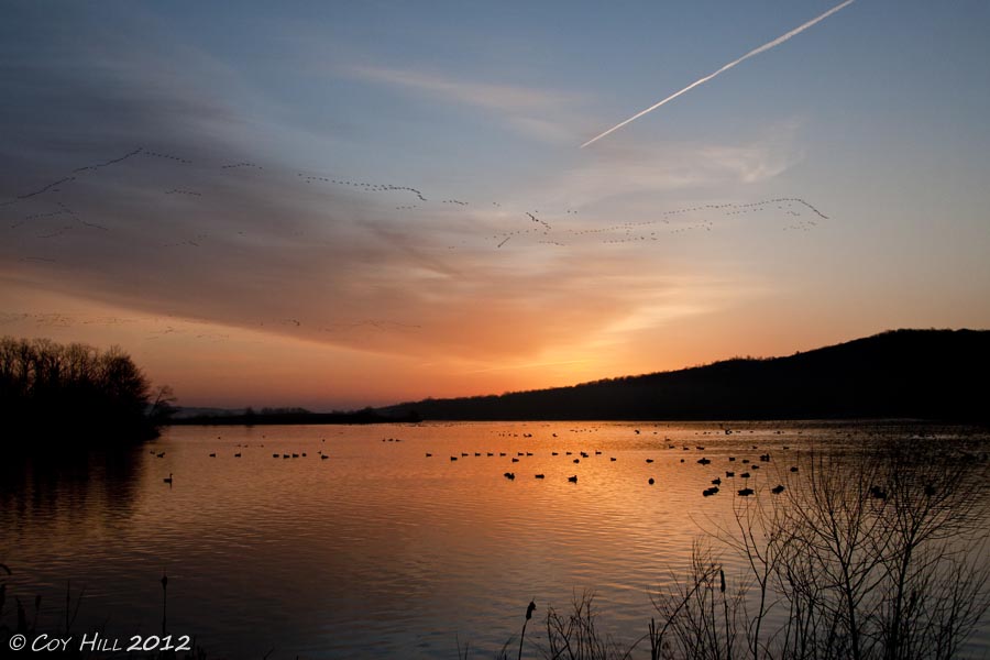 Country Captures Blizzard of Snows Middle Creek WMA