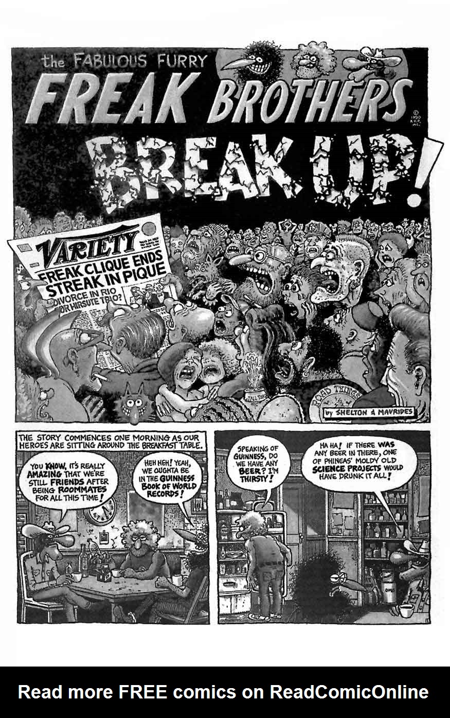 Read online The Fabulous Furry Freak Brothers comic -  Issue #11 - 3