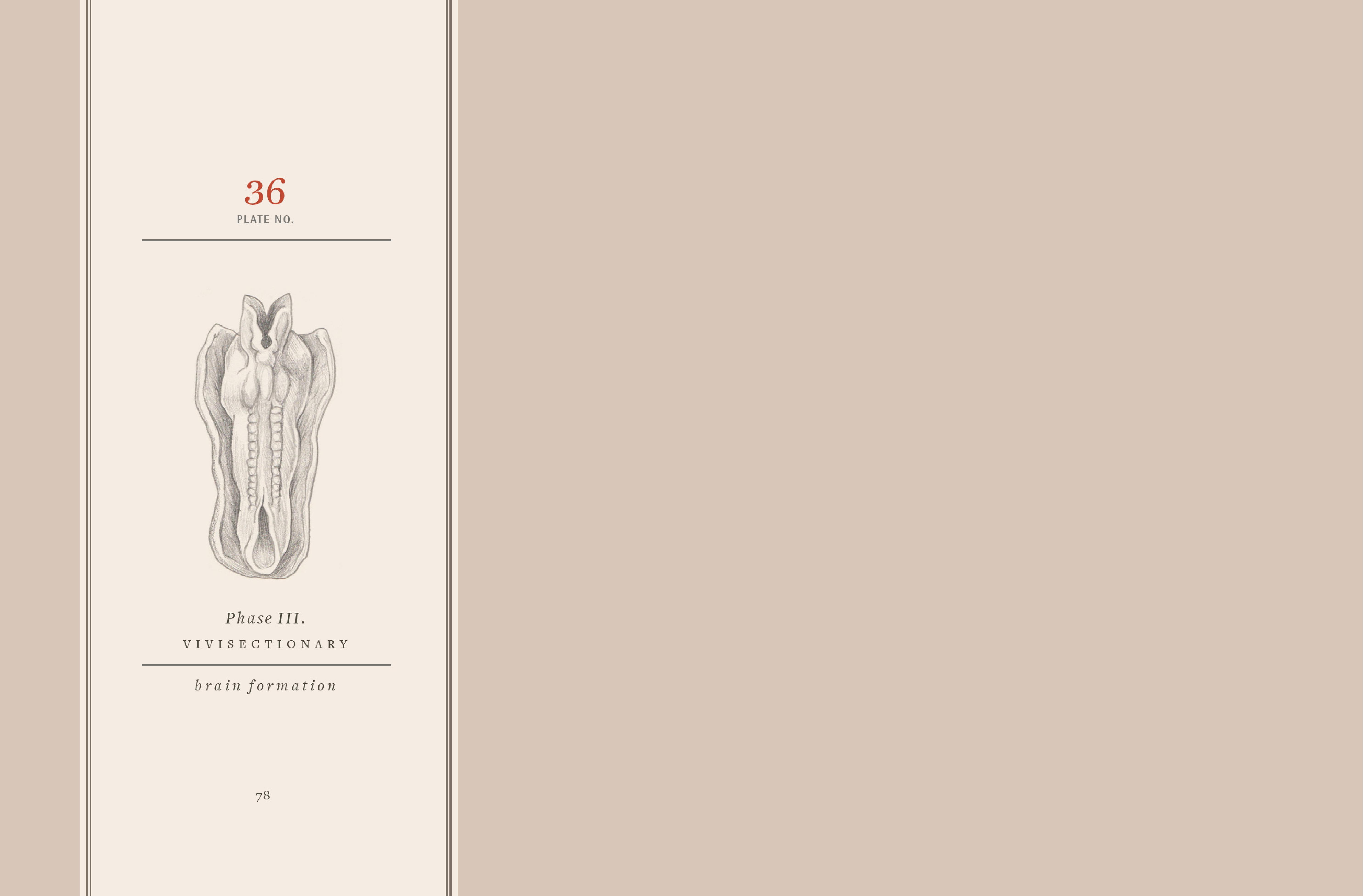 Read online Vivisectionary comic -  Issue # TPB - 79