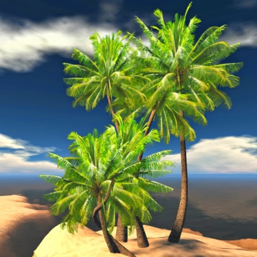 Top 10 Amazing Facts About the Coconut Tree Most Beautiful