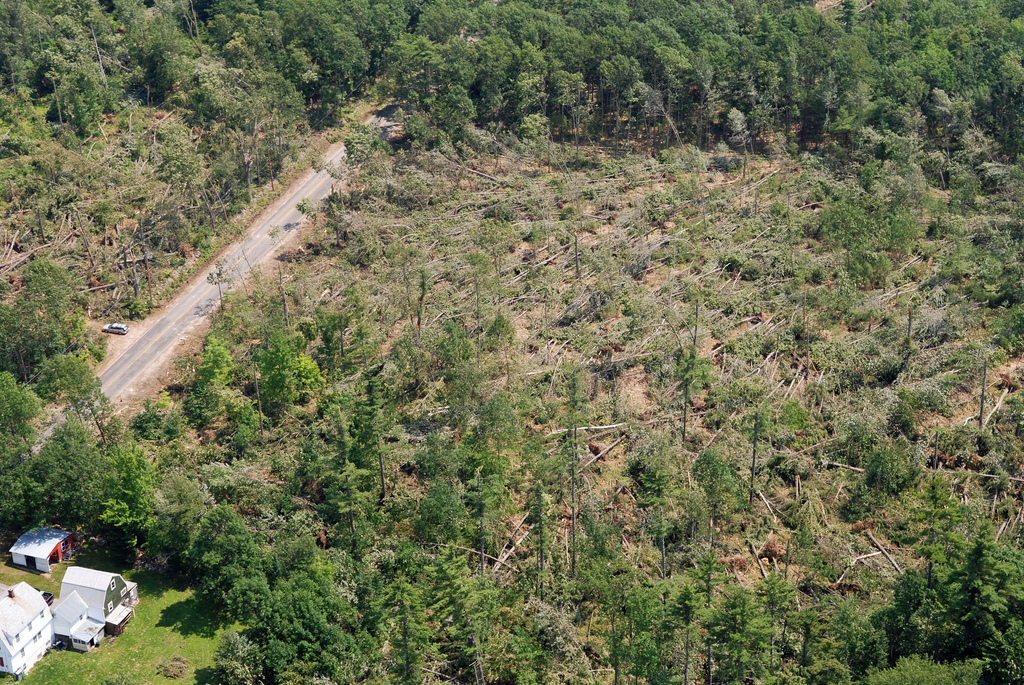 Wx4cast: Tornadic Winds versus Straight Line Winds.