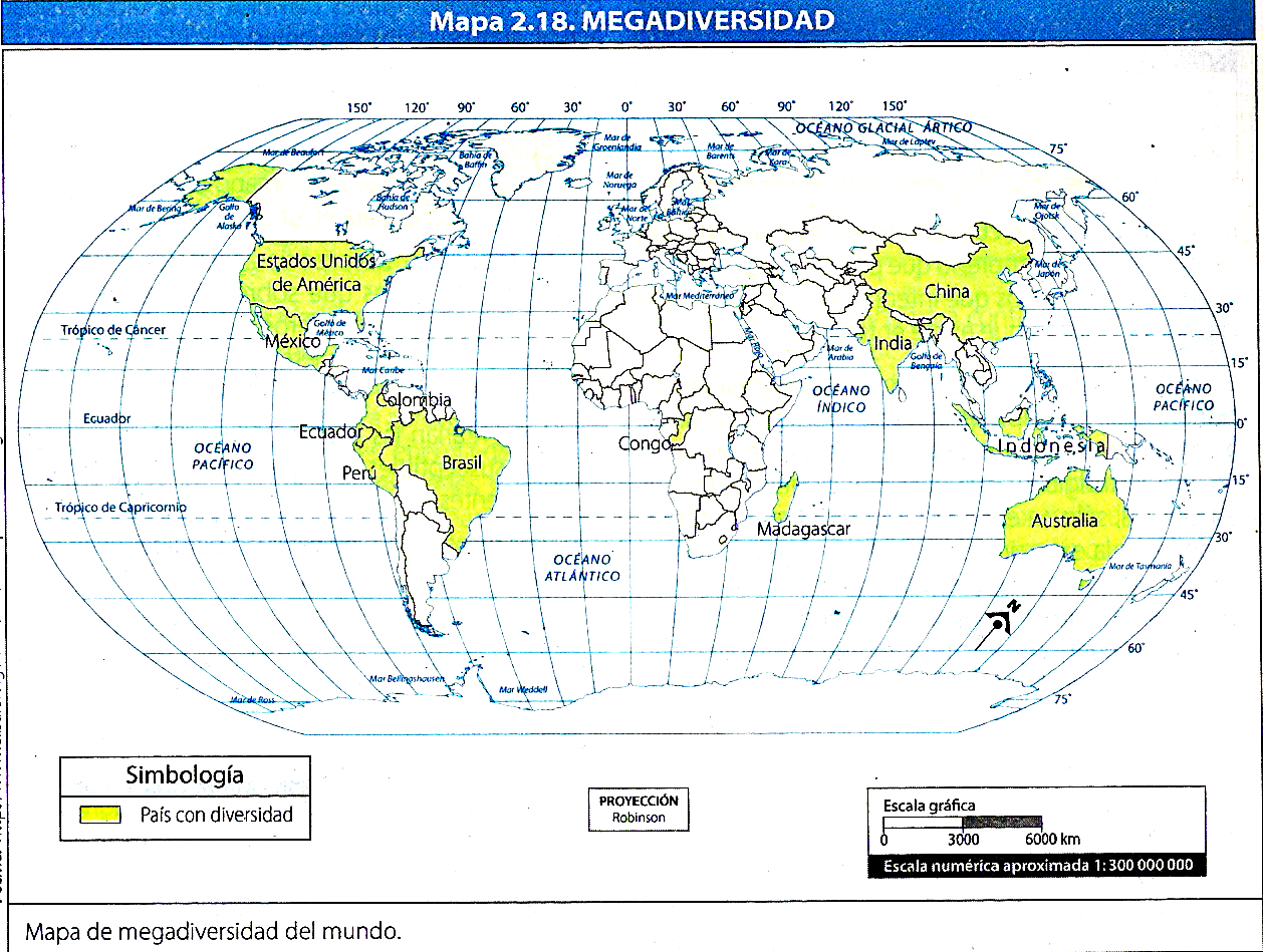 MEGADIVERSIDAD EN MÉXICO: UBICACIÒN ENTRE PAÌSES MEGADIVERSOS