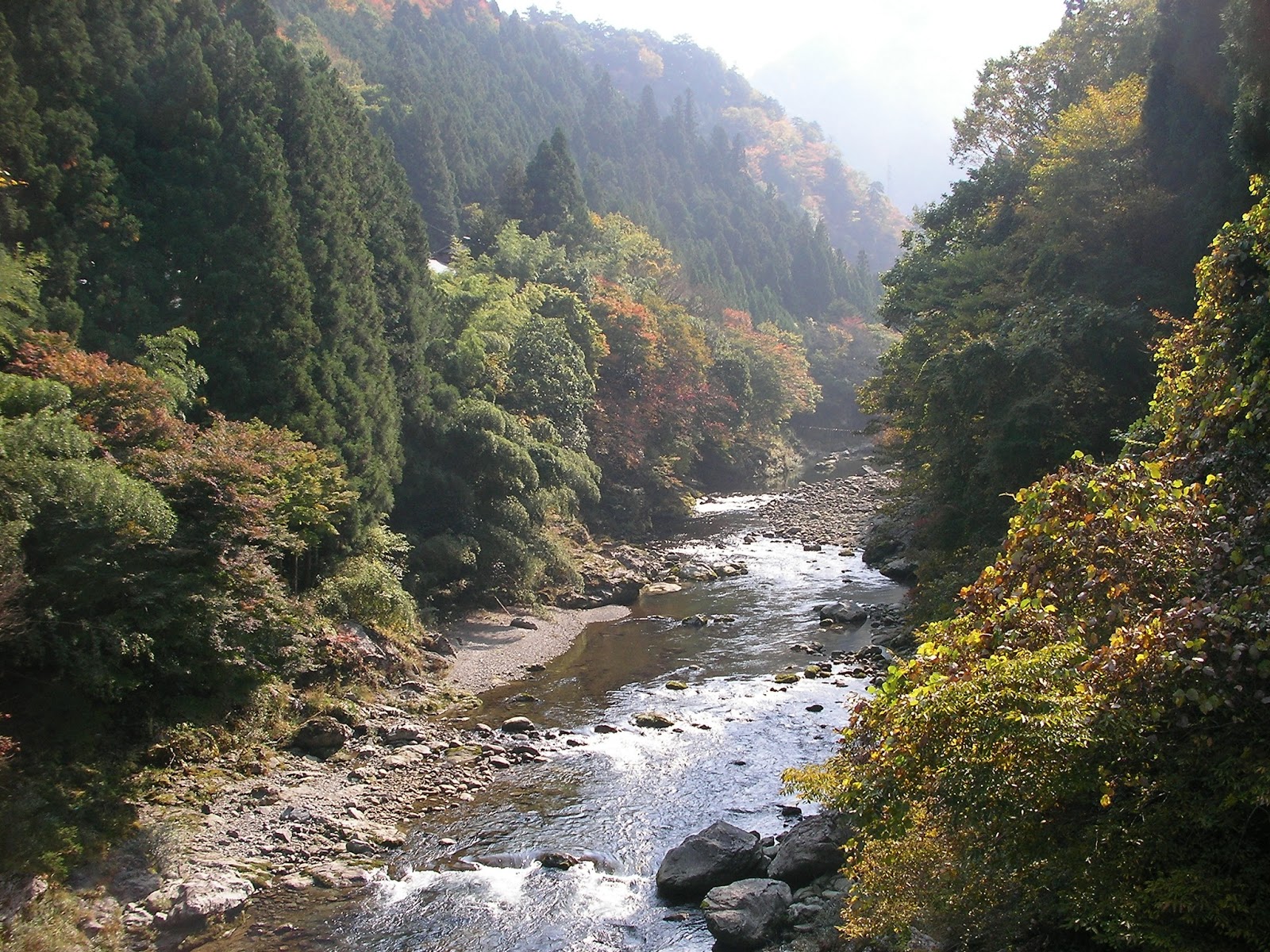 Kick.S: 大峰山 紅葉