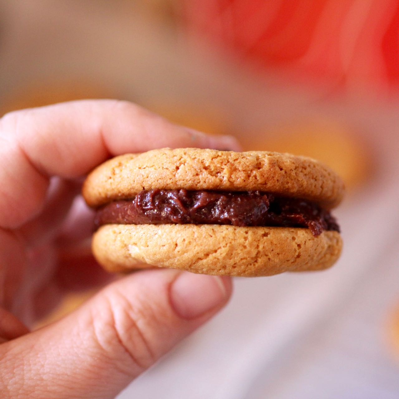 Green Gourmet Giraffe Vegan nutella with coconut condensed milk