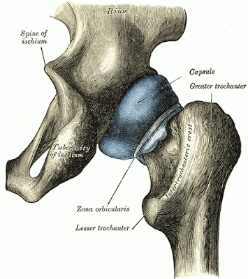 Arthritis Joint