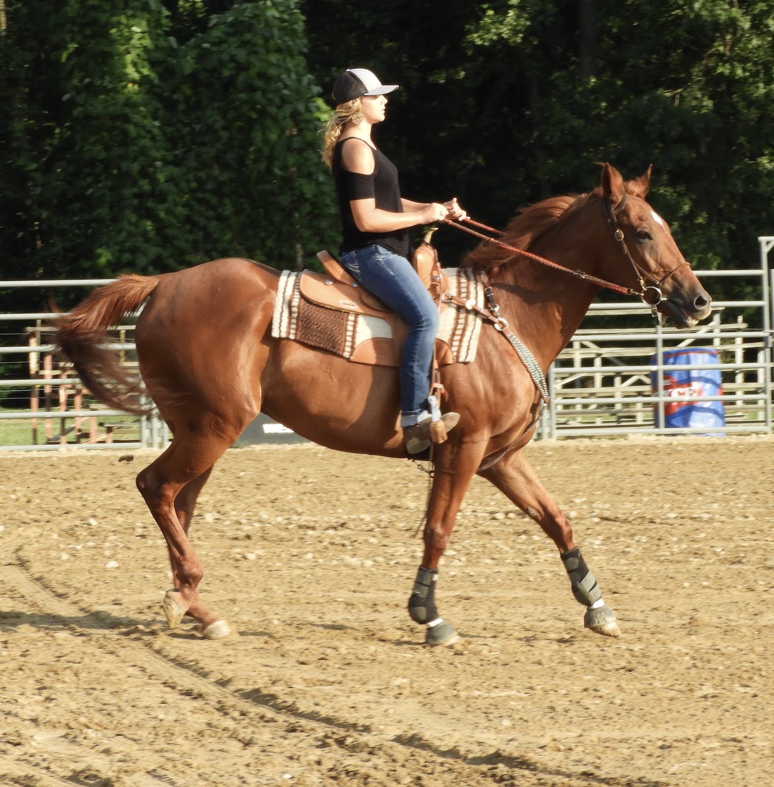 There is a Rodeo in Raleigh NC Carousel Farms