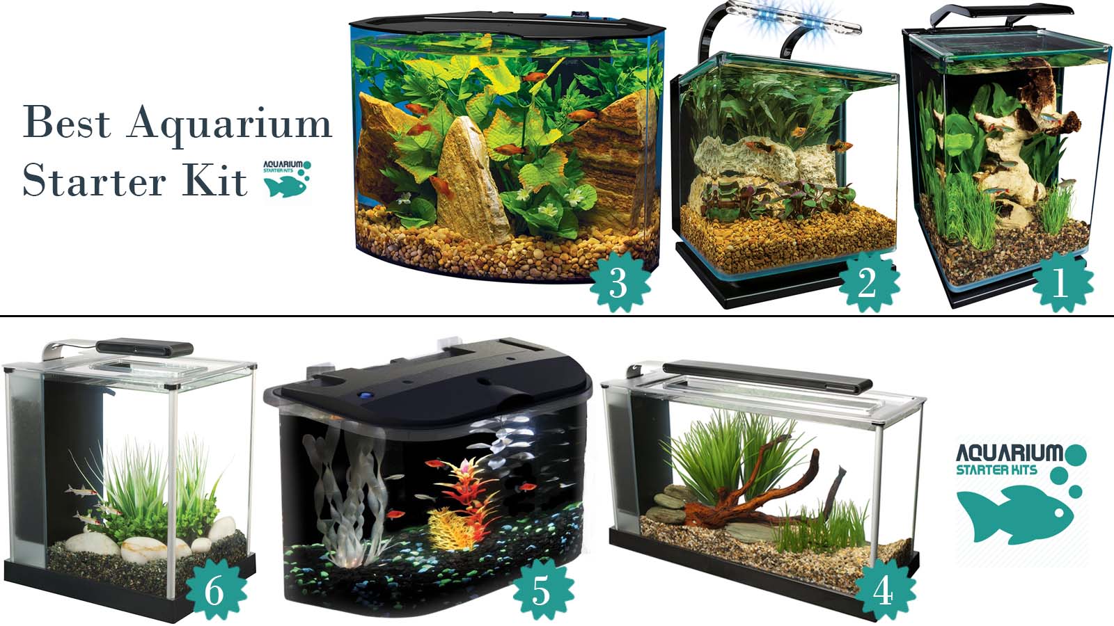 Best Aquarium Starter Kit Aquarium Starter Kits