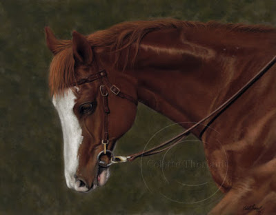 Appaloosa Horse Painting in Pastel by Colette Theriault