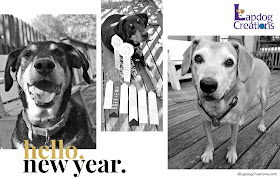 happy new year 2018 dogs rescue adopt
