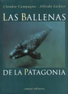 Ballenas de la Patagonia Un libro clásico para este Temporada de Avistajes