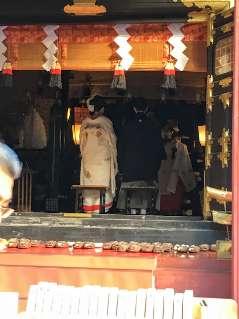 楊草莓的超級流水帳 Micoberry S Field 十一月19