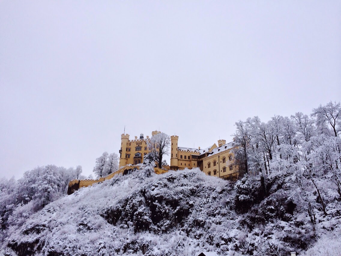 schloss hohenschwangau schloss hohenschwangau
