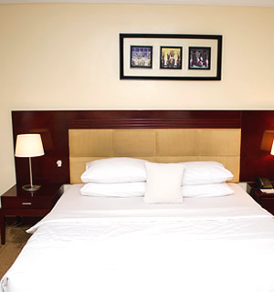 Check-Inn Hotels Executive Suite