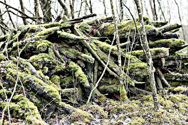 La Norvège & une fin dannée paisible au bout du monde .... recettes La Norvège & une fin dannée paisible au bout du monde ....