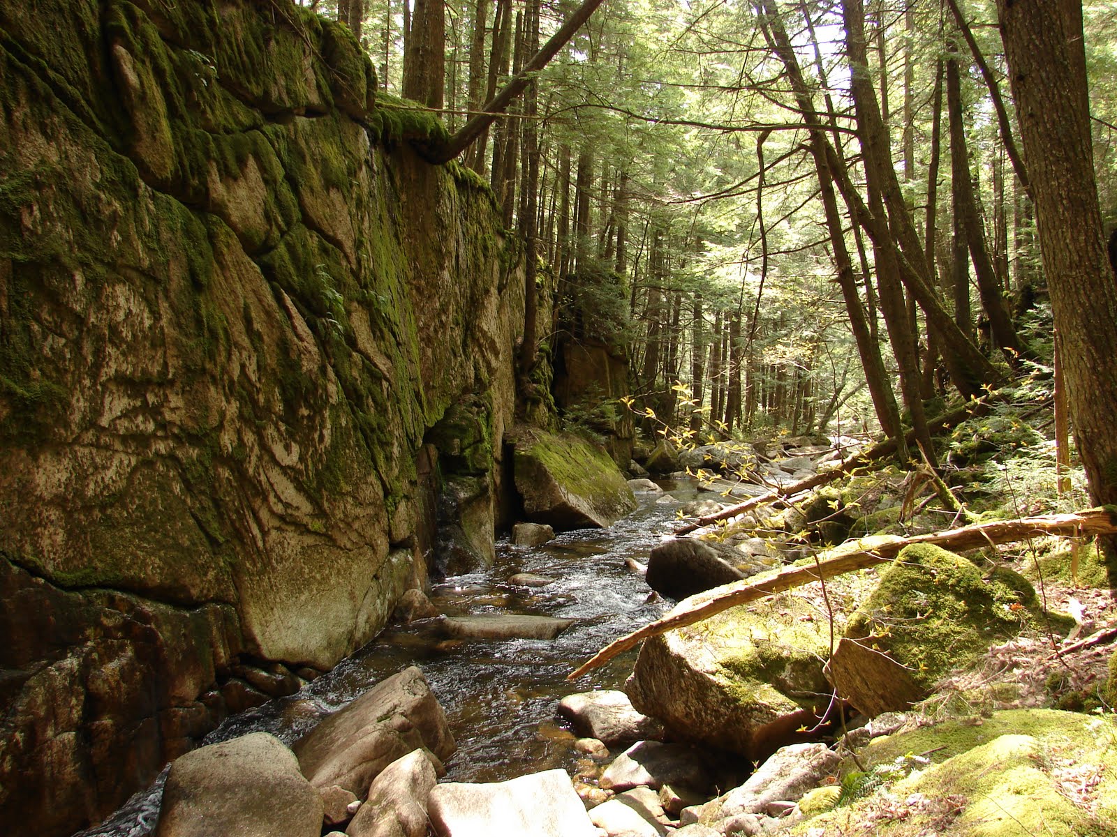 White Mountain Best White Mountain Hikes