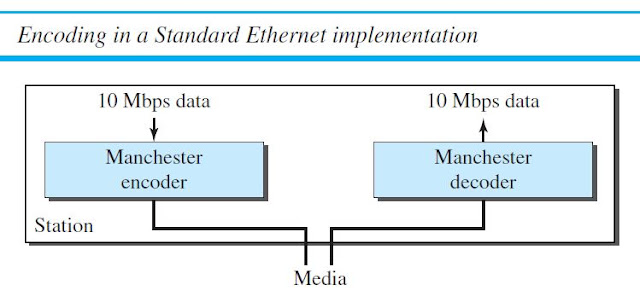 Encoding and Decoding ( explain )