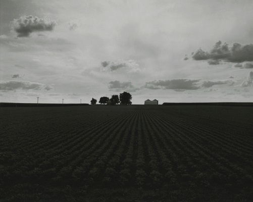 "Farm Landscapes" - 2009 - photo by Rhondal Mckinney | black and white photography inspiration | landscapes | artSelecta "Farm Landscapes" - 2009 - photo by Rhondal Mckinney | sad black and white photos | imagenes bellas de soledad y tristeza, fotos en blanco y negro bonitas