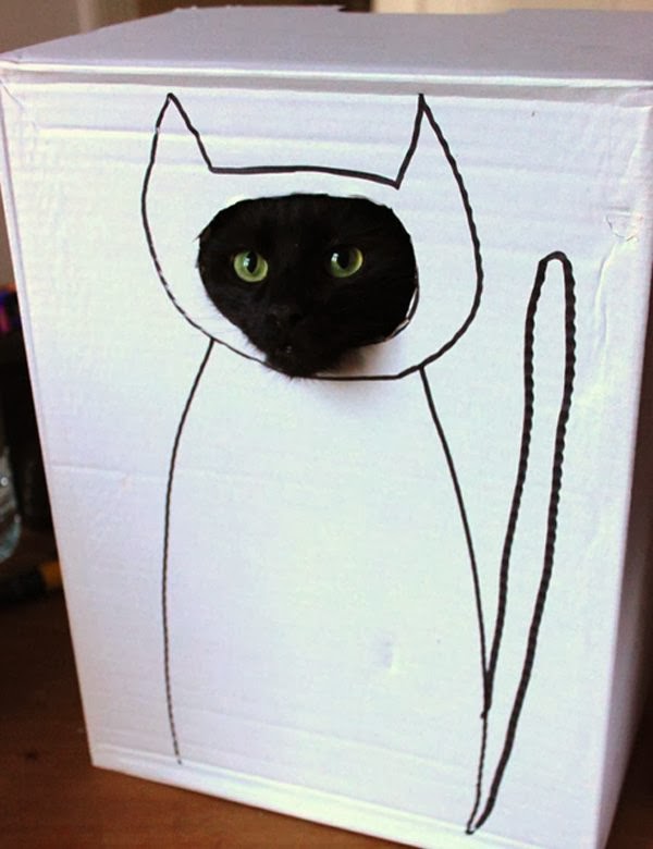 love is an animal THE BEST HOLIDAY GIFT FOR YOUR CAT HOMEMADE BOX CASTLE!