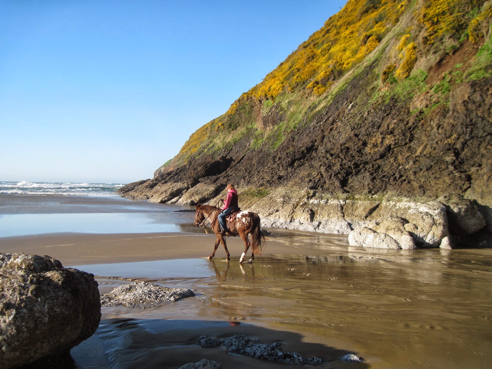 Holly's Horse Tales and Trails Baker Beach Horse Camp and the Cape