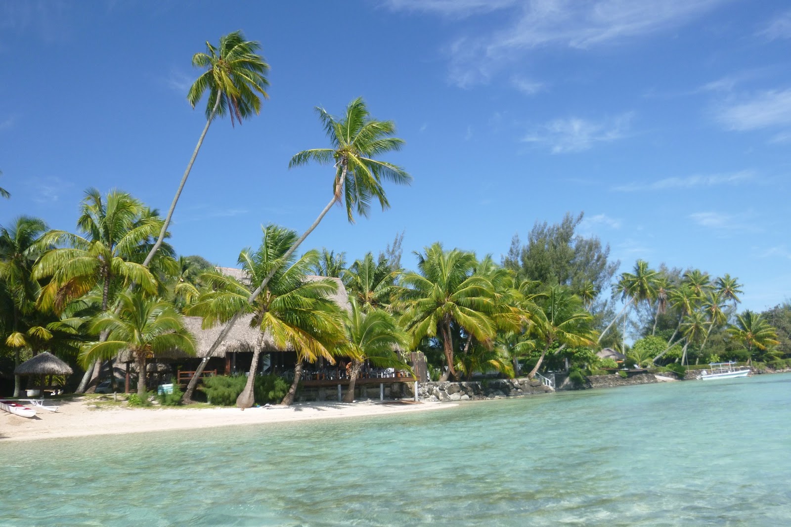 Photographie Ancienne – Paysage Tahitien – CPSM – Années 1960 – Couleur