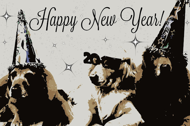 golden retriever dogs celebrating new years 2017