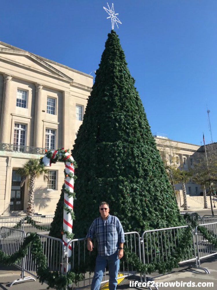 Life Of 2 Snowbirds It's Christmastime In The City