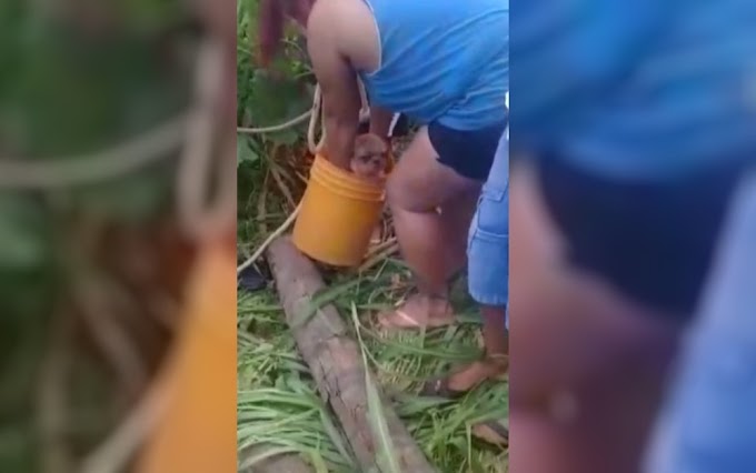 Cachorro é resgatado em buraco de 5 metros