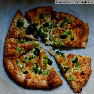 close up image of vegetarian pizza topped with broccoli and 4 cheeses