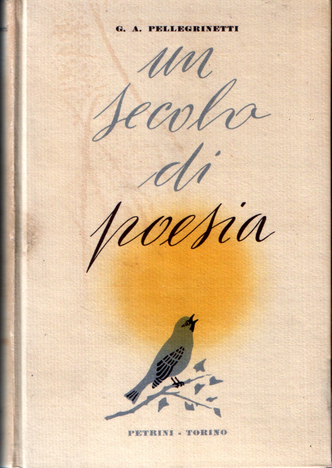 I libri de la stanza ascosa Antologie Un secolo di poesia