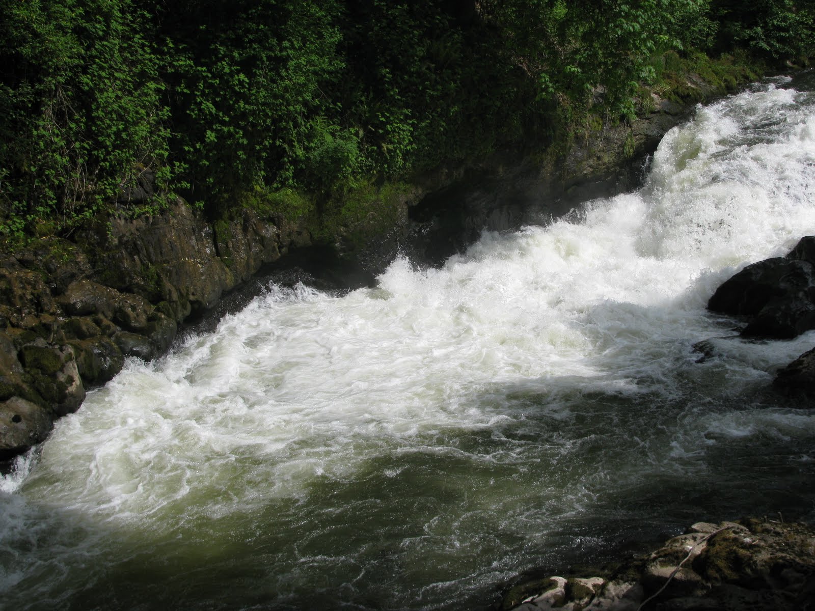 Beautiful Washington State Tumwater Falls Park (Tumwater, WA)