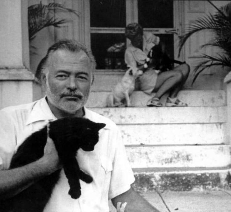 26 Interesting Vintage Photos of Ernest Hemingway With His Beloved Cats