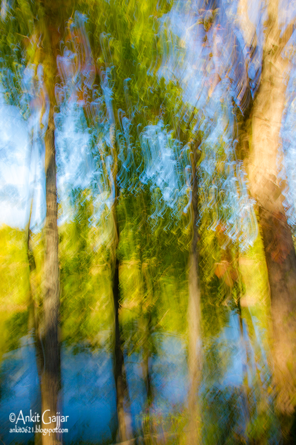 Ankit's Photography Blog How to Create a Painterly Effect using Slow