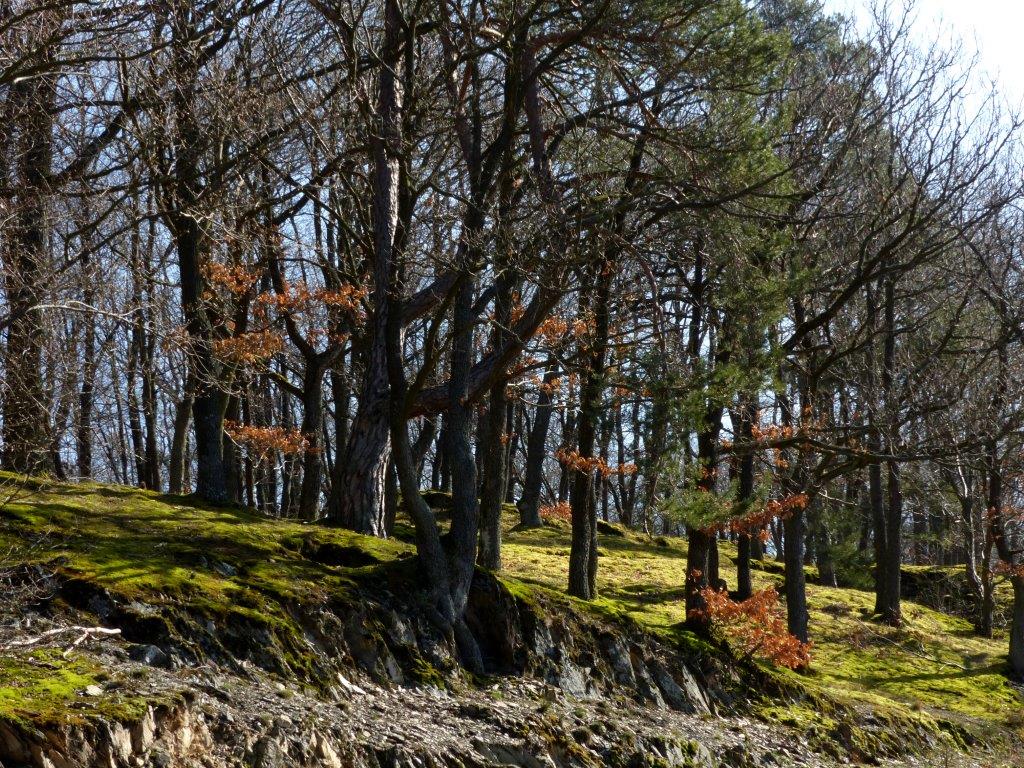 Mountainbike Am Rursee De Ein Bericht Zwei Rennen