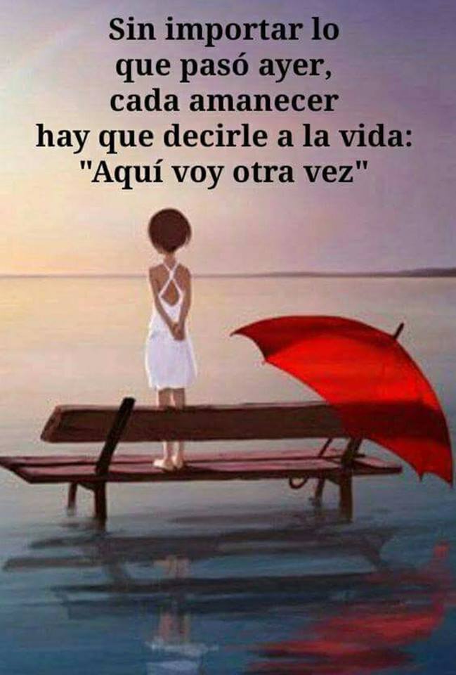 Frases Para Reflexionar Sobre La Vida Para Pausar Y Pensar Sin