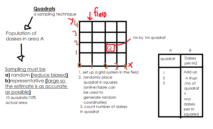 Ecosystems: 4.3 Quadrat sampling