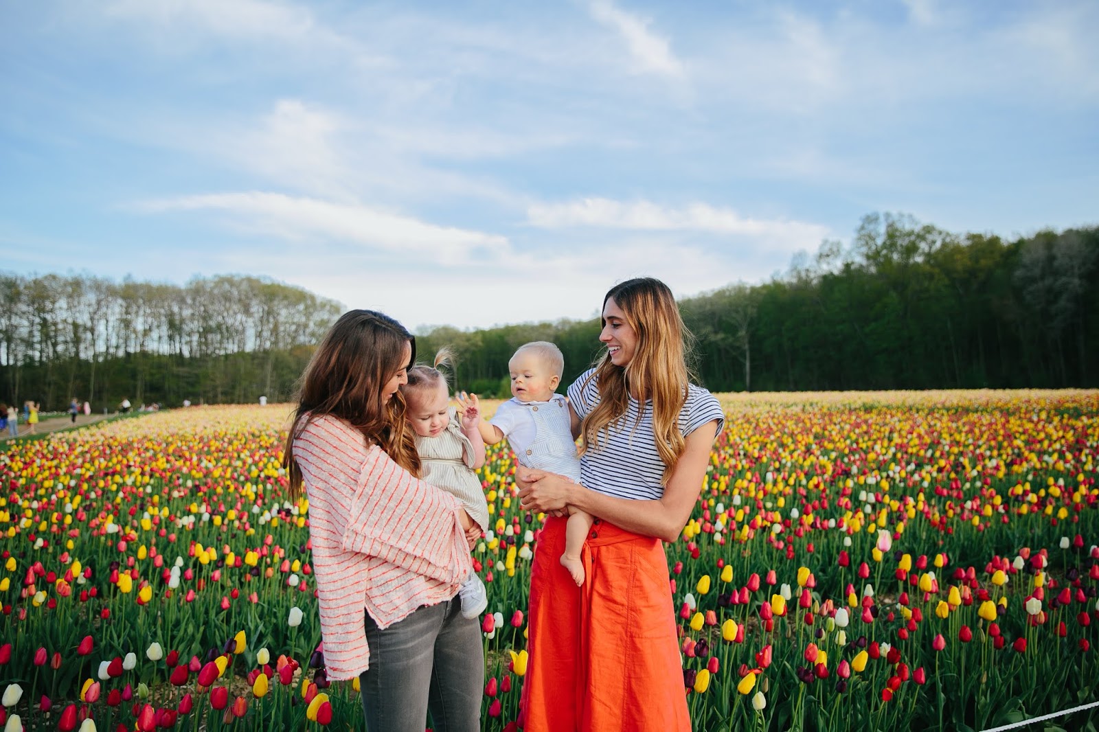 Tulip Picking In Rhode Island After Sundance tulip-picking-in-rhode-island-after-sundance