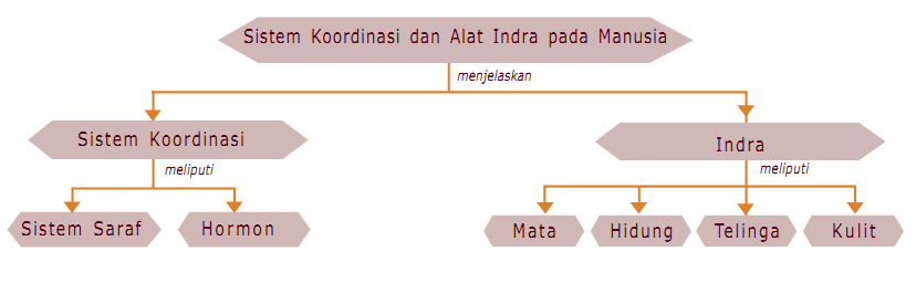 Materi Kimia Smp Kelas 7 8 Dan 9  2016 Car Release Date