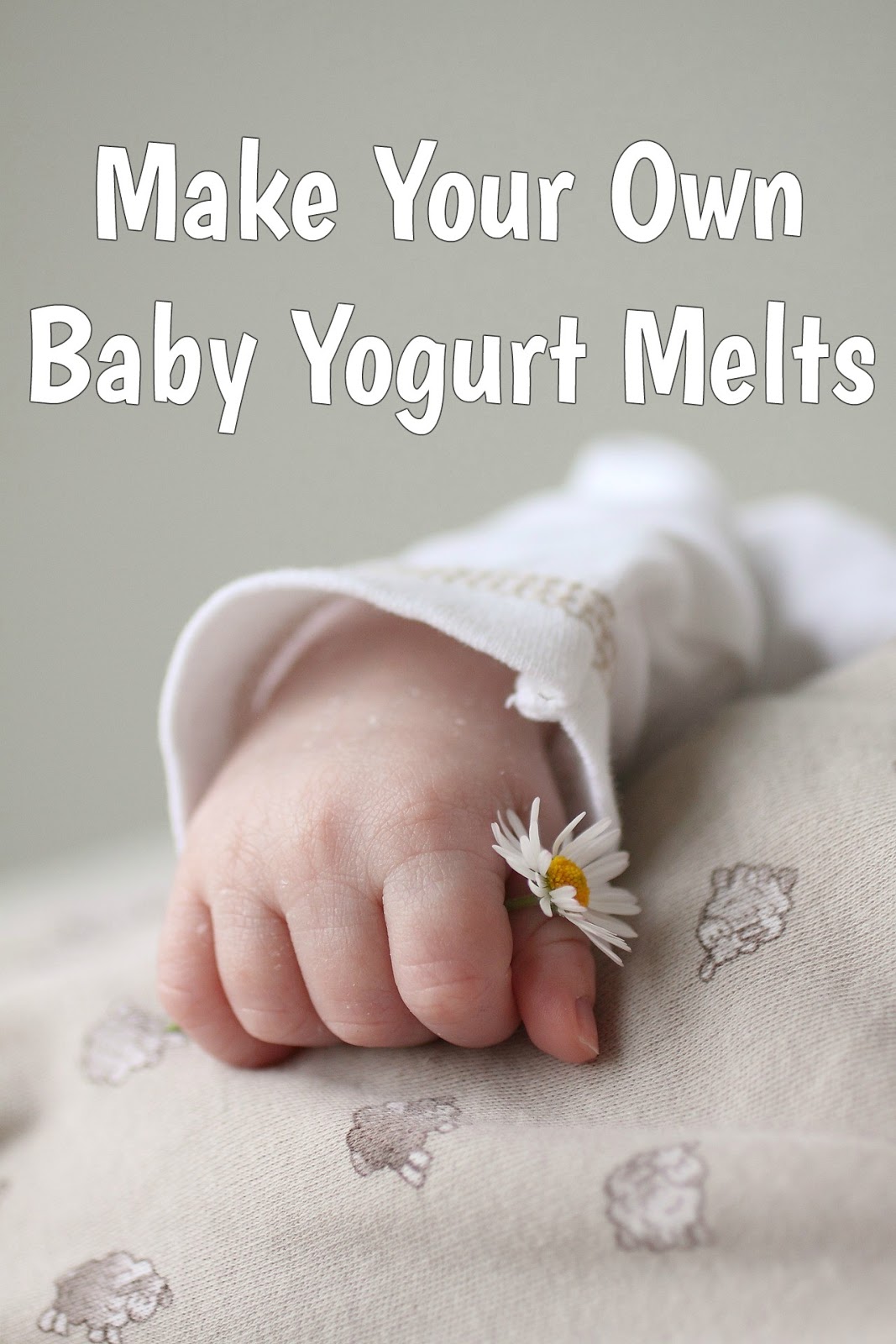 Meeshie's World Make Your Own Baby Yogurt Melts