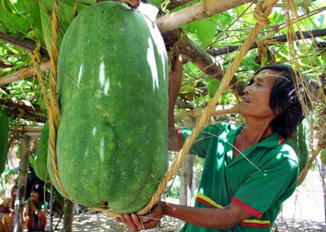 Chuyen la ve ngoi lang trong bi dao qua to bang nguoi - Anh 2