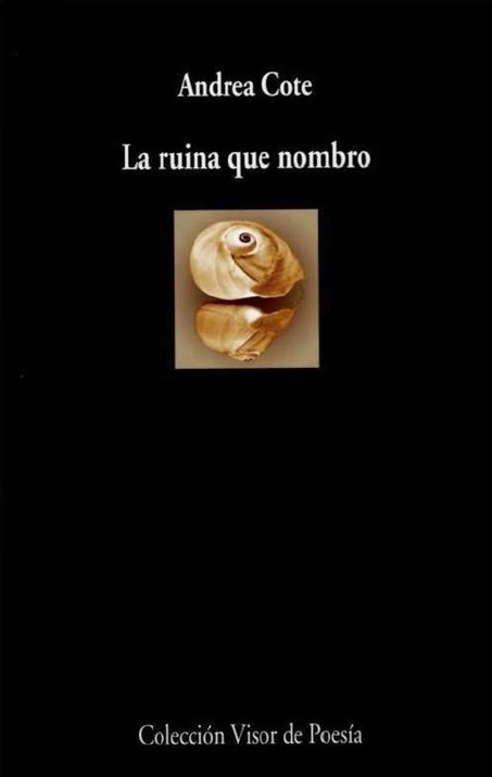 La ruina que nombro