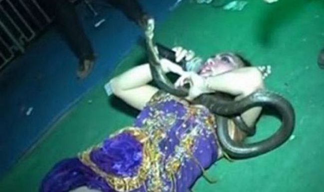 This Woman Bravely Chose To Continue Performing Even After A Venomous Cobra Bit Her! This Woman Bravely Chose To Continue Performing Even After A Venomous Cobra Bit Her!