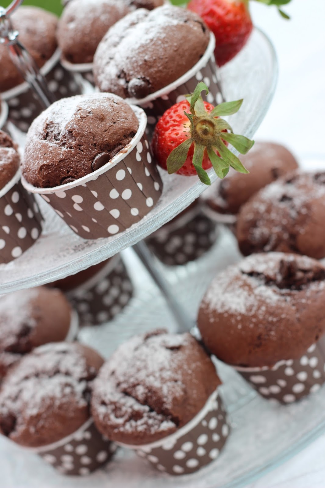 Schokoladen Muffins mit Schokostückchen