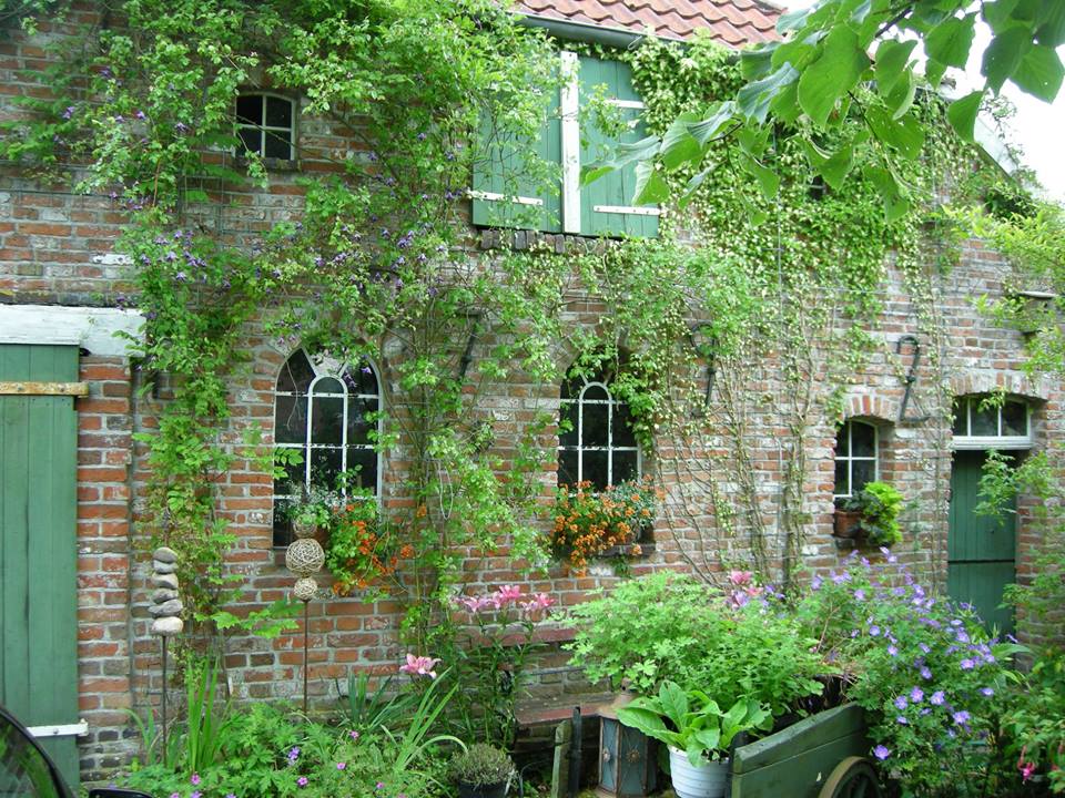 Irmgard Franz Roth Media Productions Juni 2019