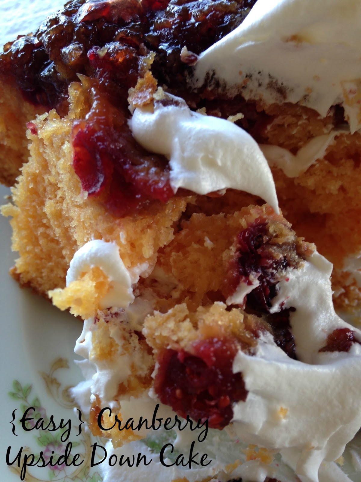Easy Cranberry Upside Down Cake Turnips 2 Tangerines
