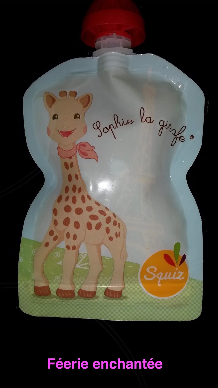 FEERIE ENCHANTEE DE LA COMPOTE MAISON EN GOURDE