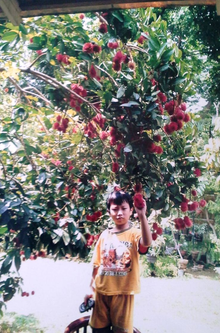 Mengenal Karakter Pohon Rambutan | Tips Petani