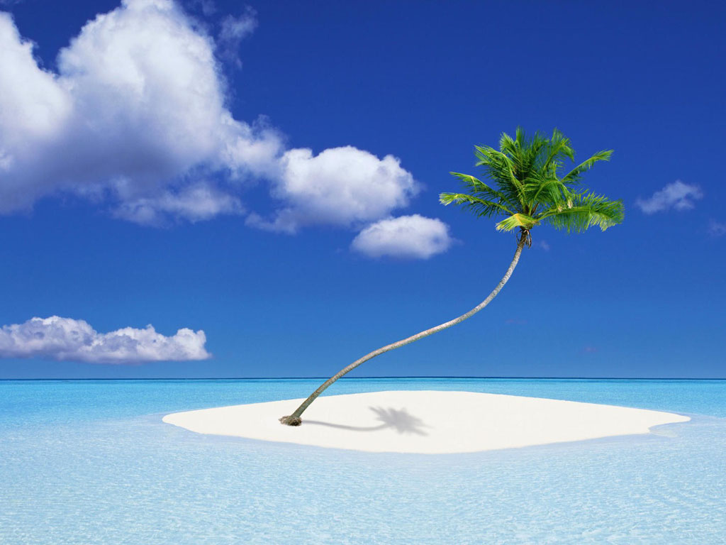 Free Wallpapers wallpaper